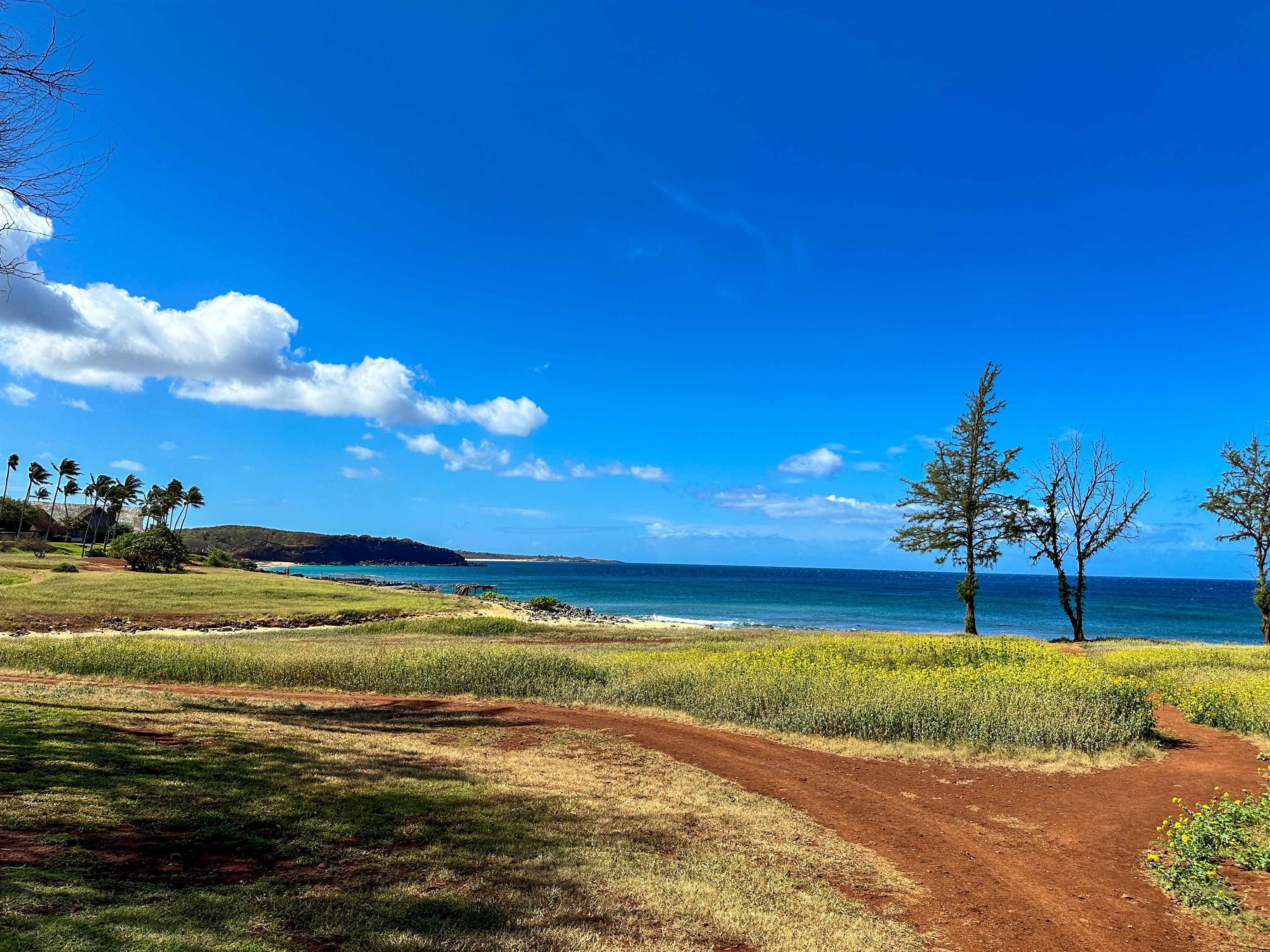 Paniolo Hale condo # P1, Maunaloa, Hawaii - photo 24 of 35