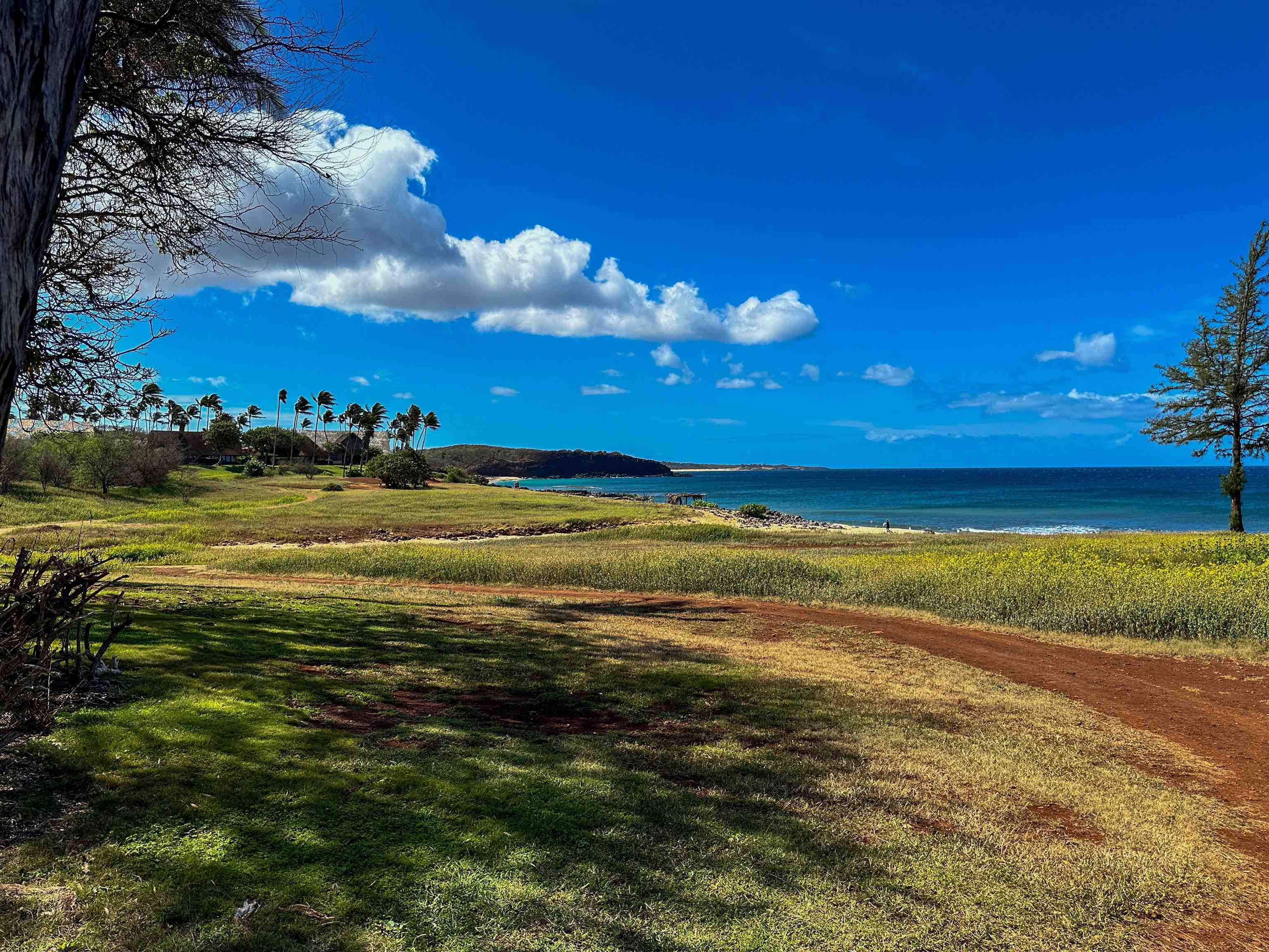 Paniolo Hale condo # P1, Maunaloa, Hawaii - photo 28 of 35