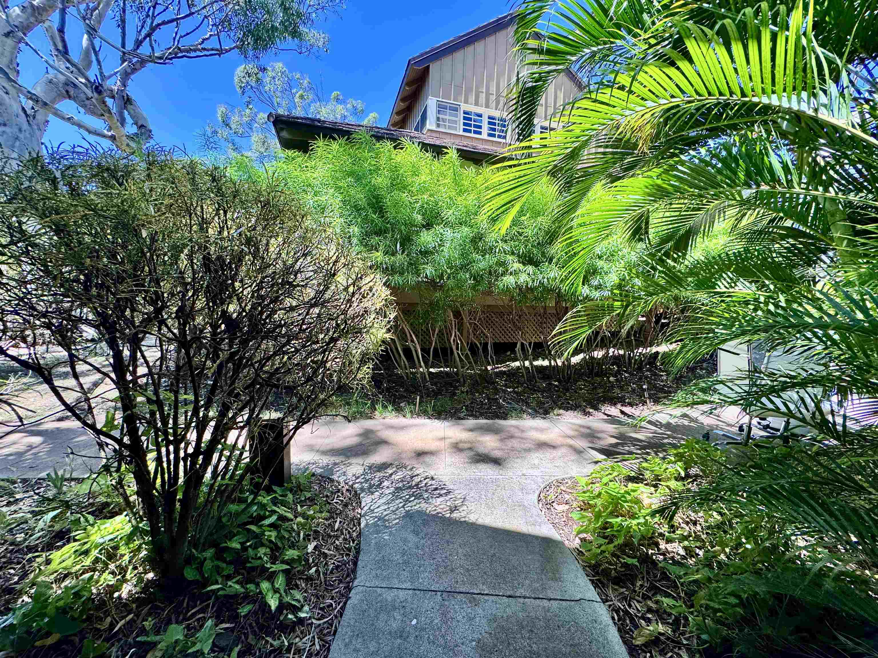 Paniolo Hale condo # P2, Maunaloa, Hawaii - photo 2 of 32
