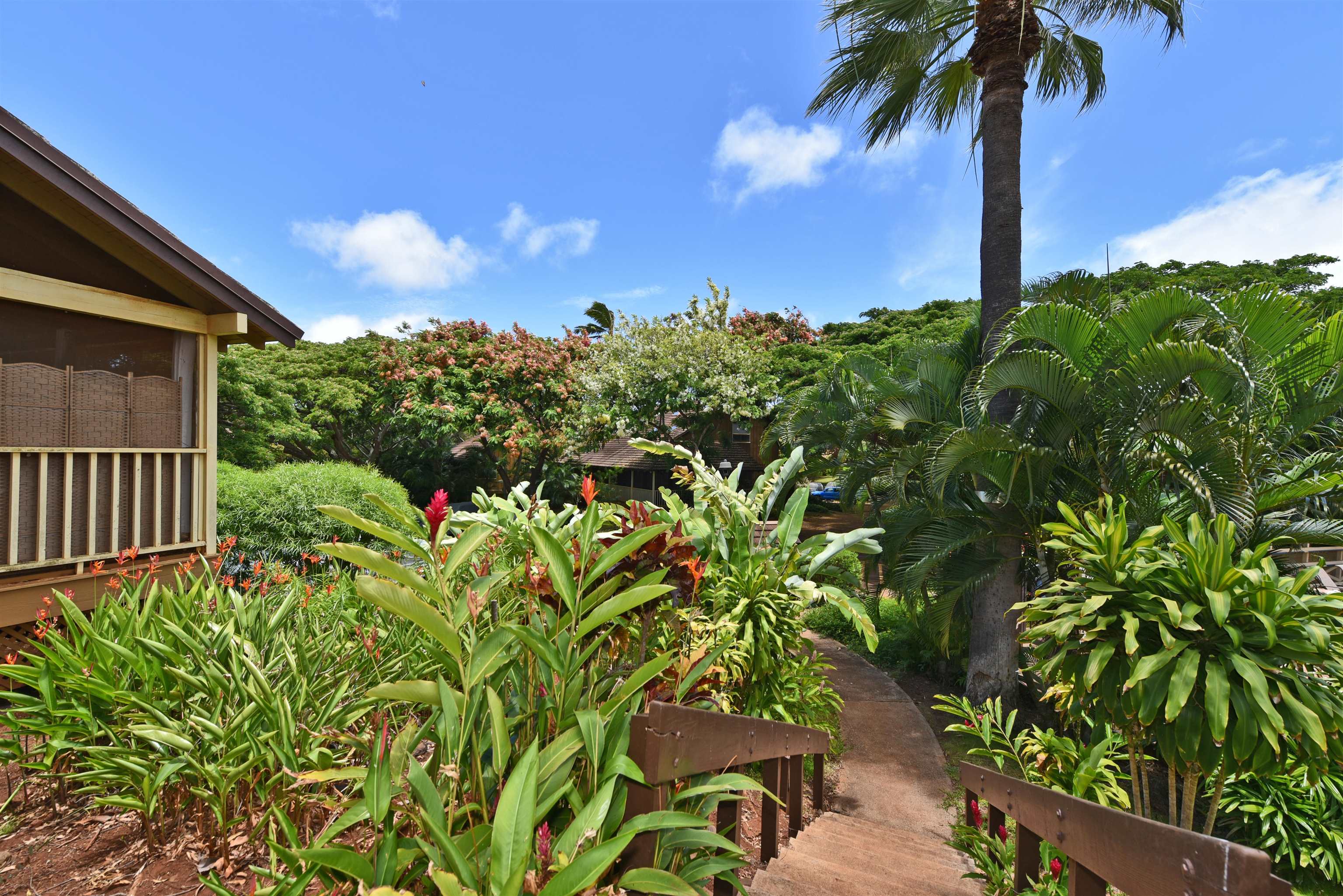 Paniolo Hale condo # P4, Maunaloa, Hawaii - photo 25 of 39