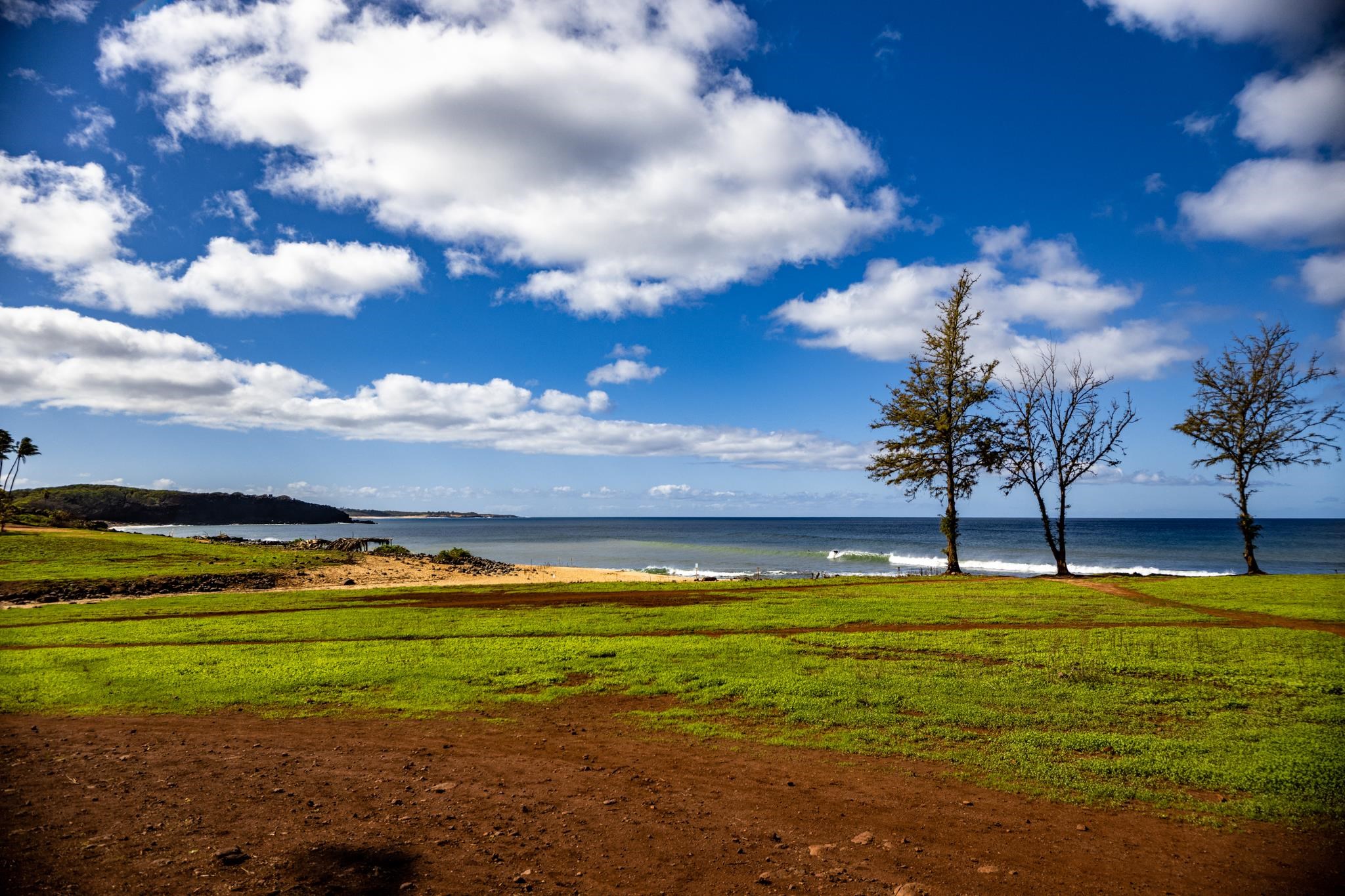 Paniolo Hale condo # P4, Maunaloa, Hawaii - photo 32 of 39