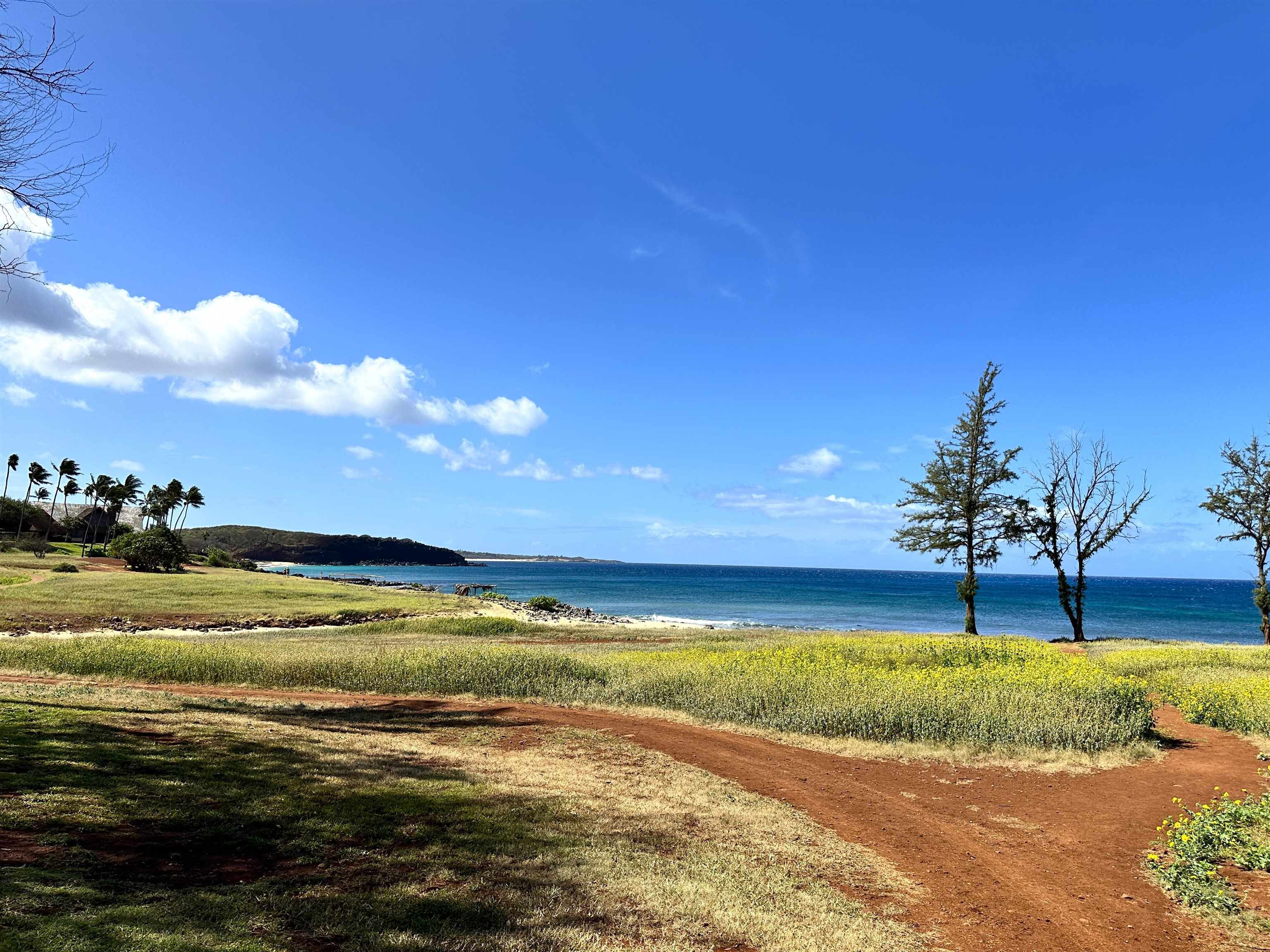 Paniolo Hale condo # Q-4, Maunaloa, Hawaii - photo 35 of 36