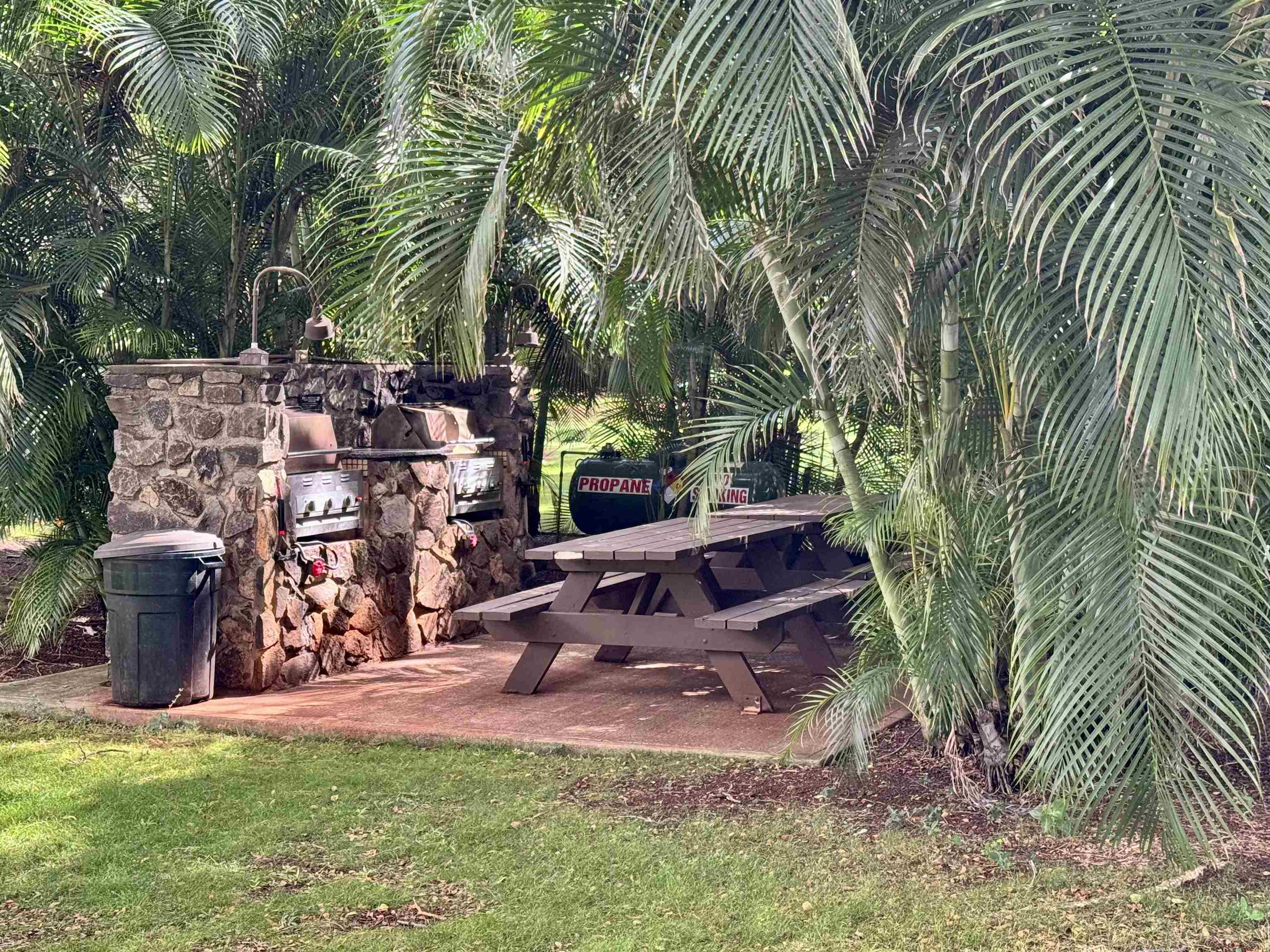 Paniolo Hale condo # S3, Maunaloa, Hawaii - photo 35 of 43