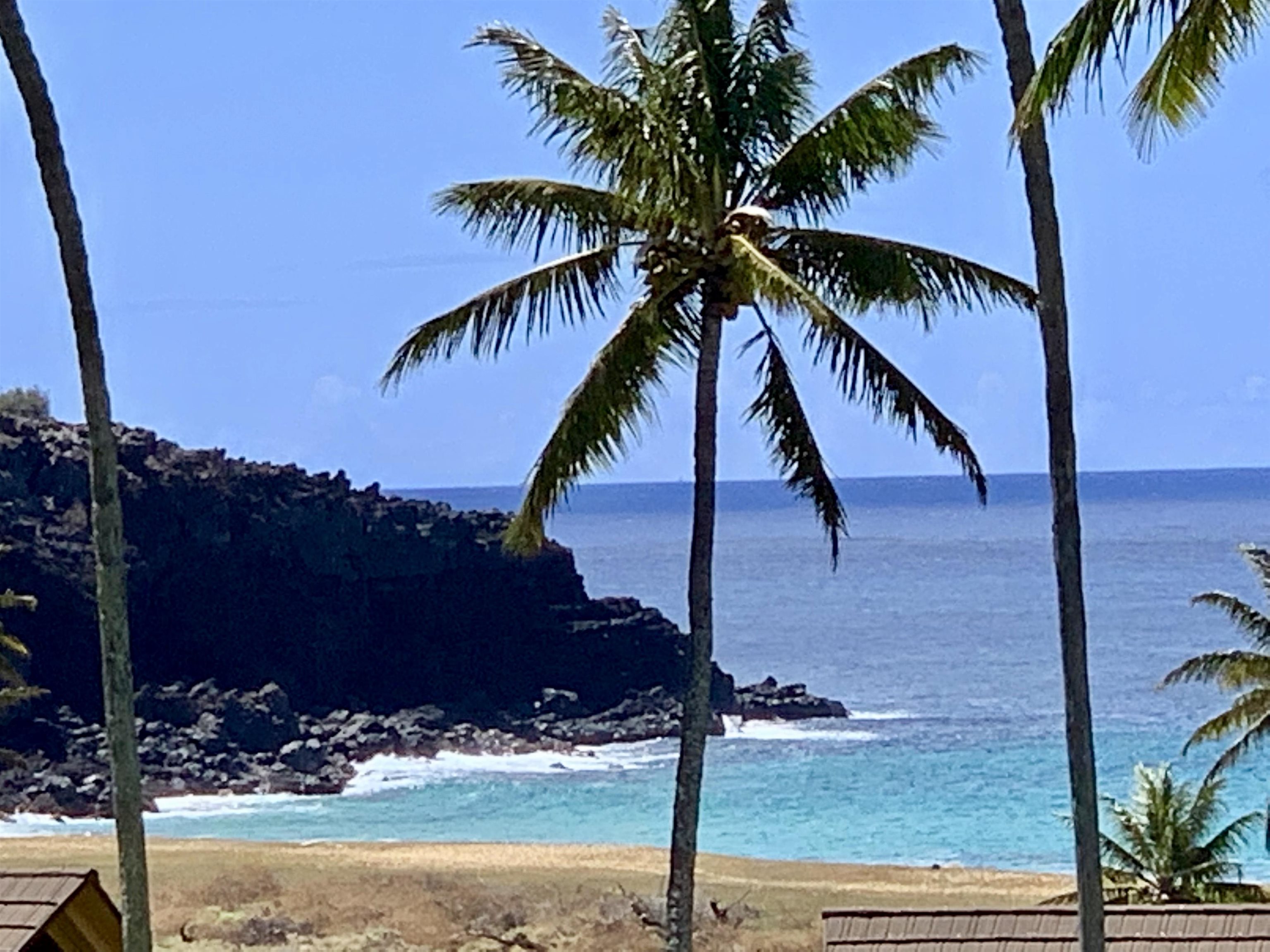 Paniolo Hale condo # S3, Maunaloa, Hawaii - photo 38 of 43