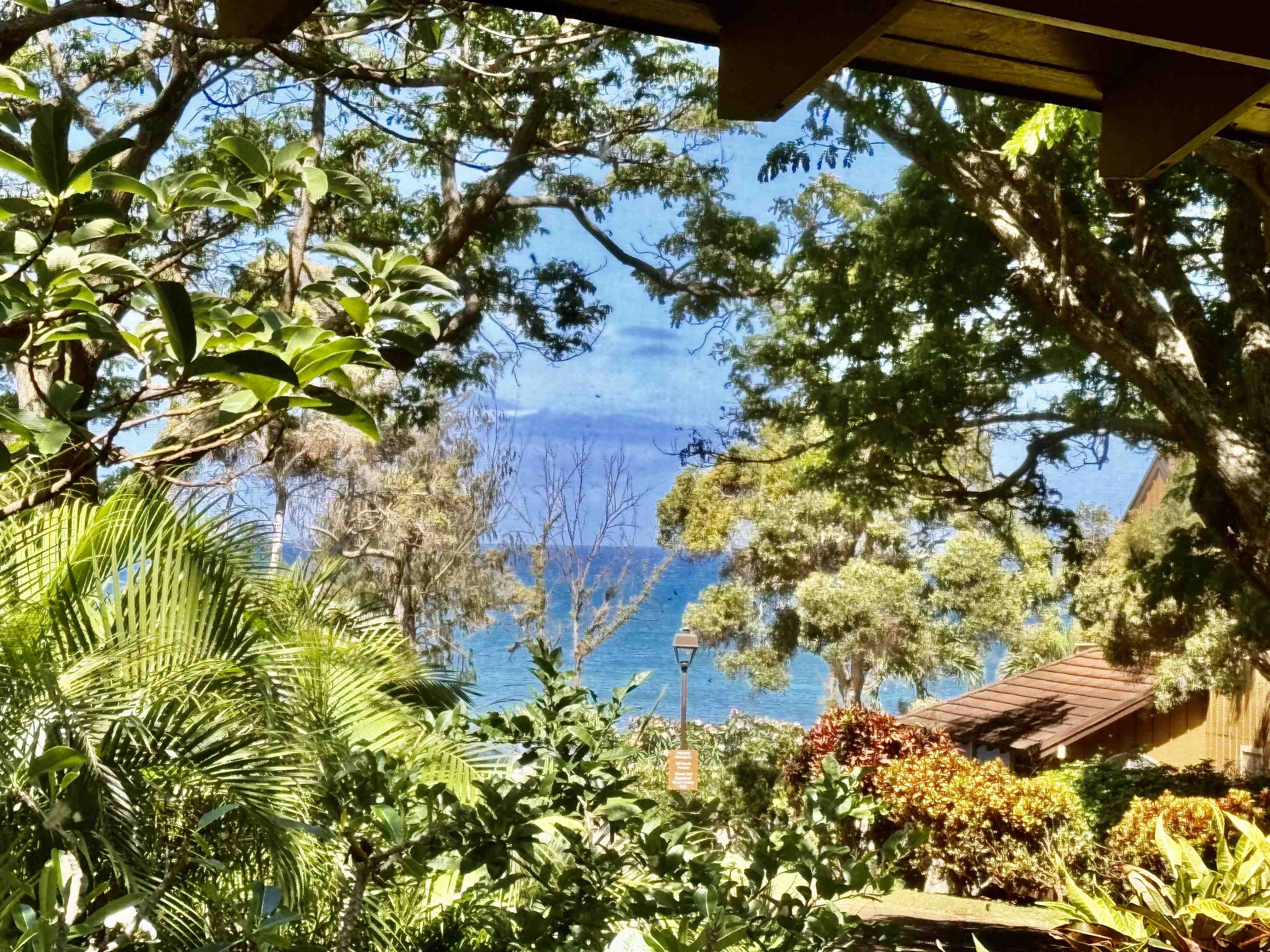 Paniolo Hale condos for sale in Molokai West Molokai