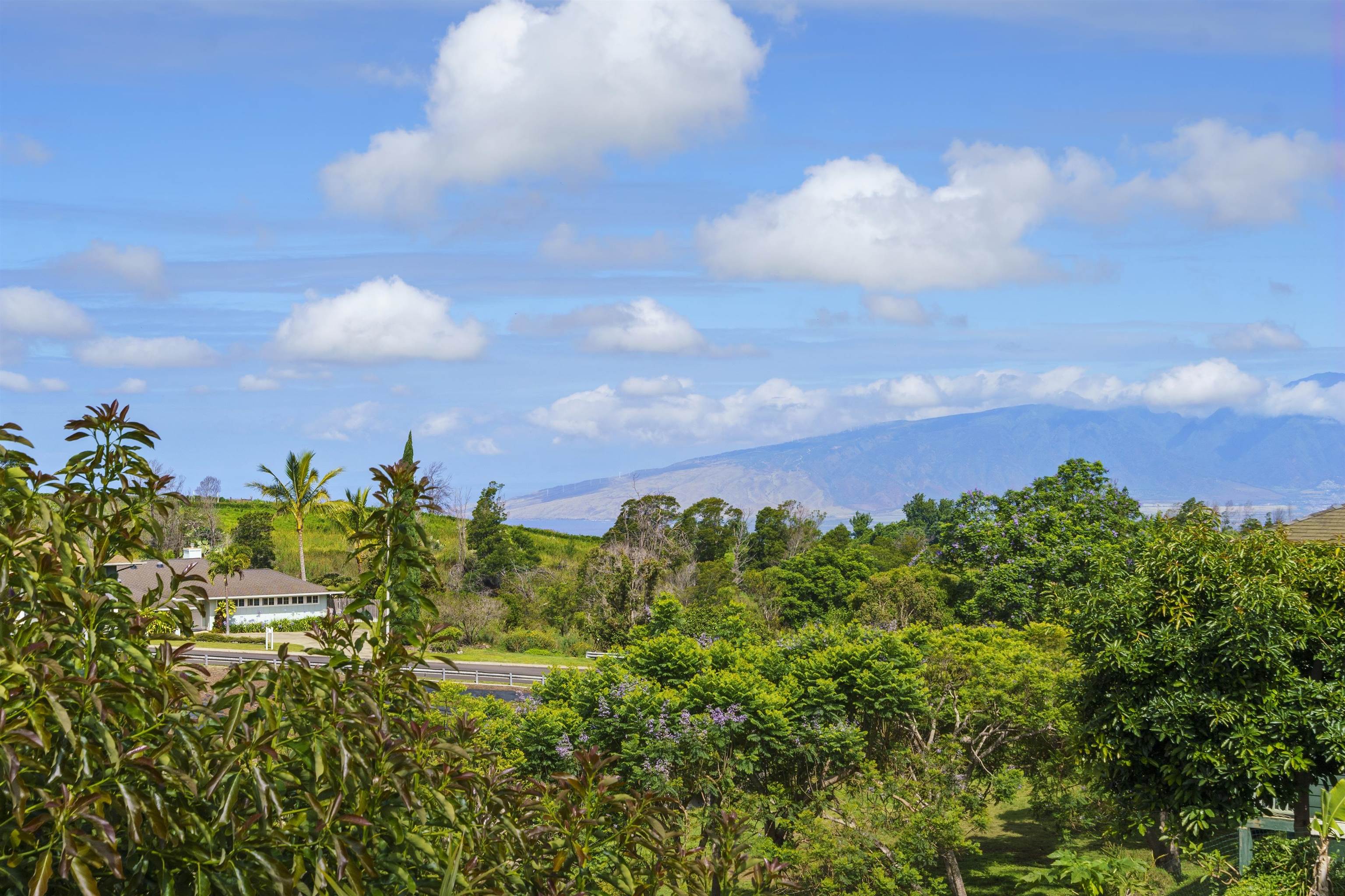 100  Malapua Pl , Kula/Ulupalakua/Kanaio home - photo 36 of 36