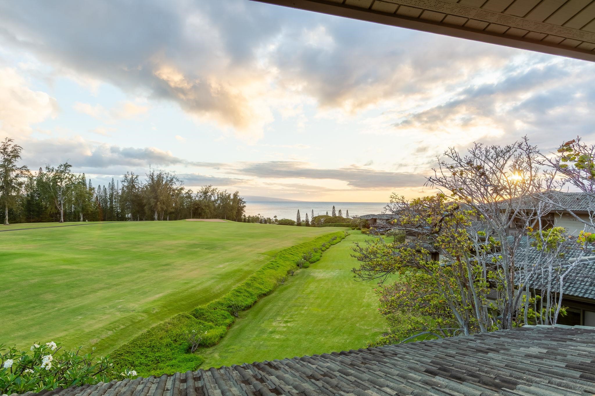 Kapalua Ridge condo # 1223,24, Lahaina, Hawaii - photo 37 of 49