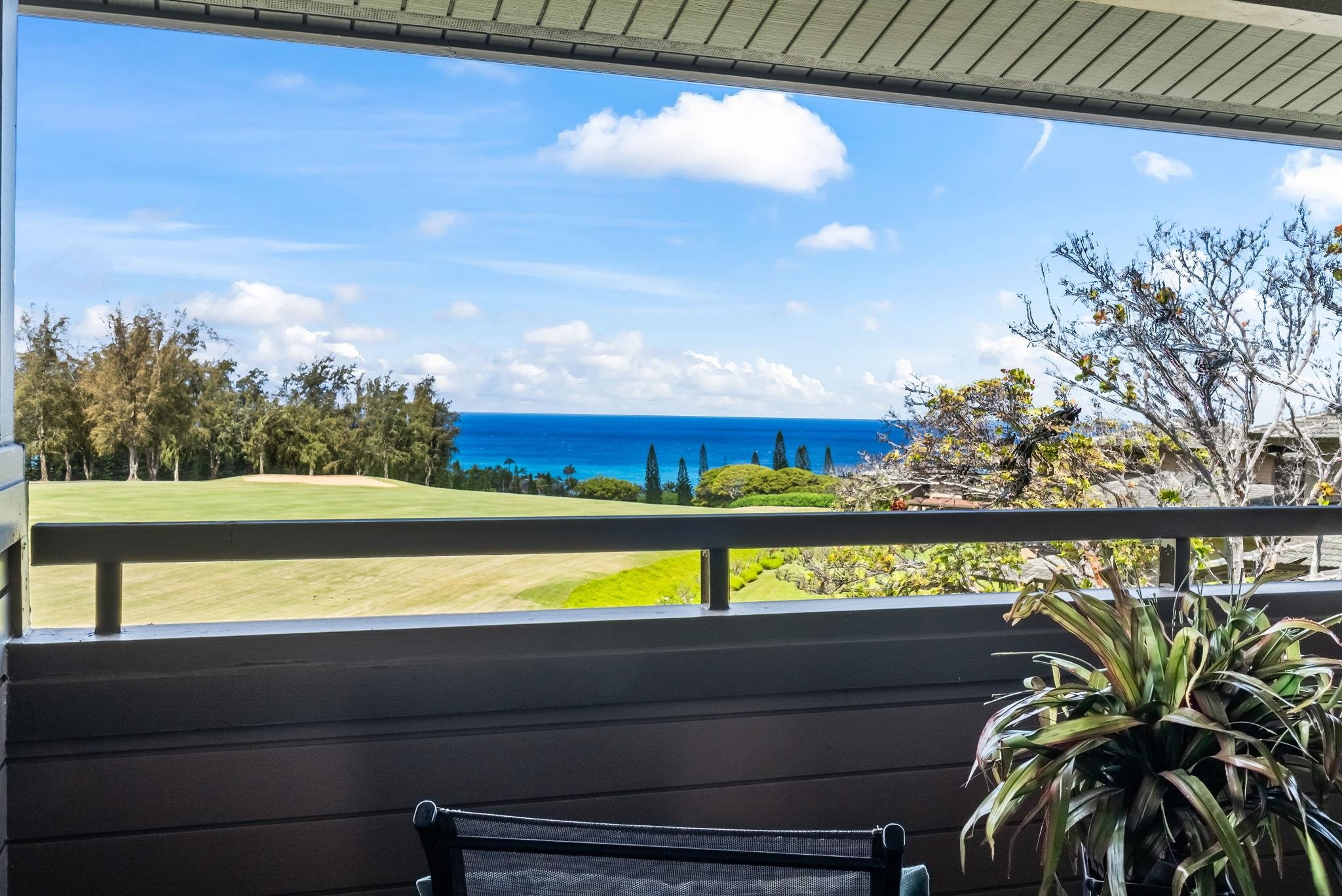 Kapalua Ridge condo # 1223,24, Lahaina, Hawaii - photo 38 of 49