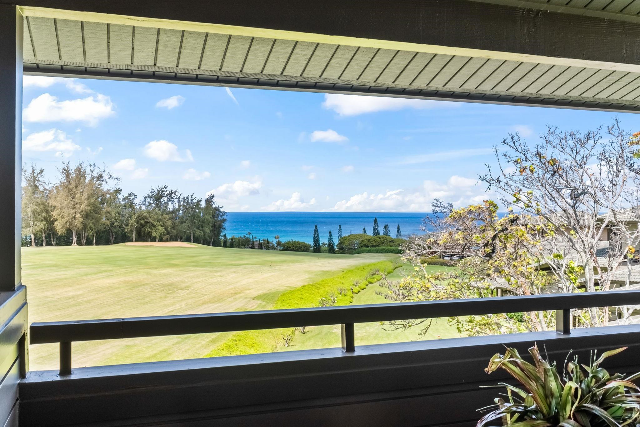 Kapalua Ridge condo # 1223,24, Lahaina, Hawaii - photo 39 of 49