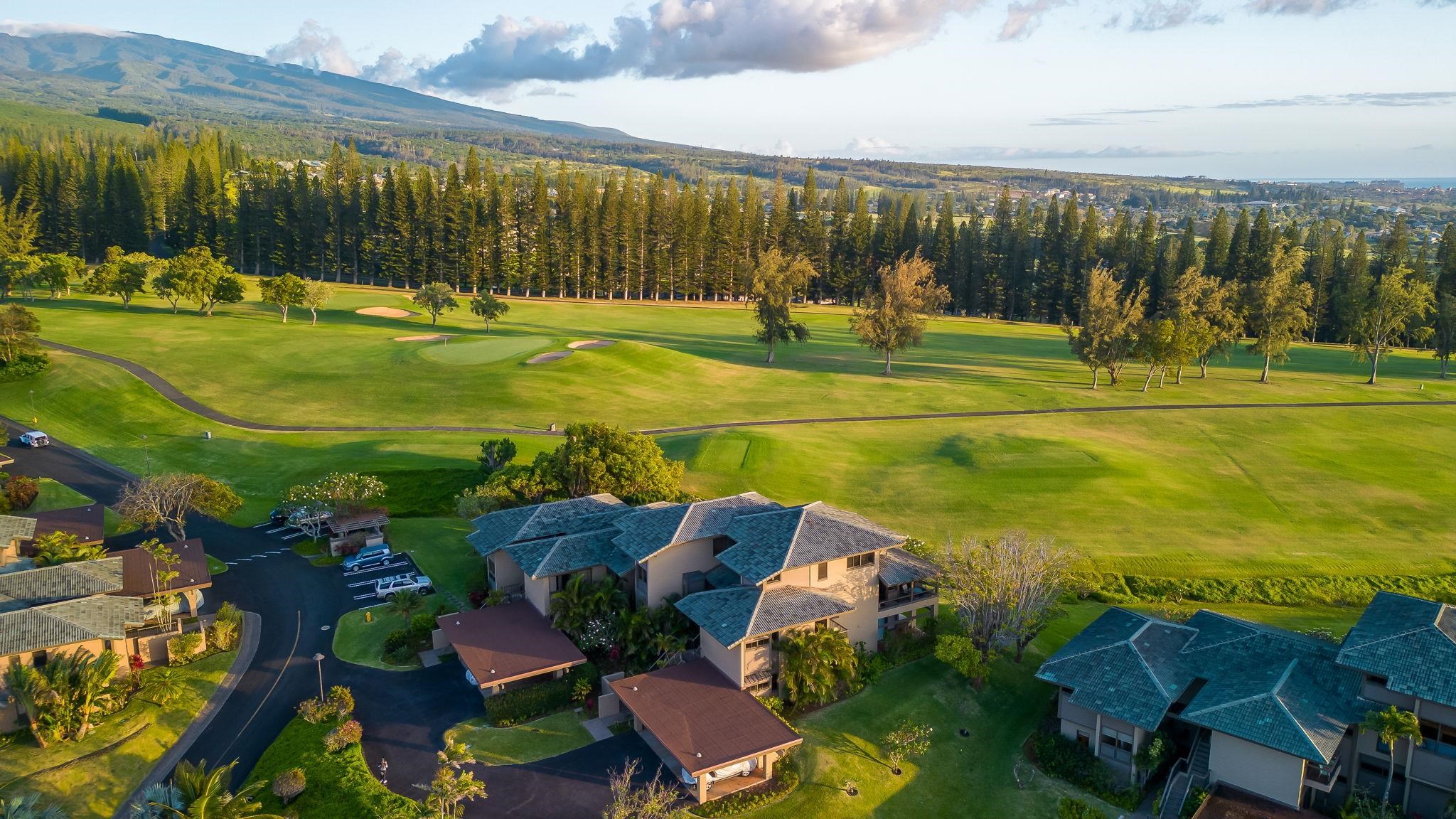 Kapalua Ridge condo # 1223,24, Lahaina, Hawaii - photo 43 of 49