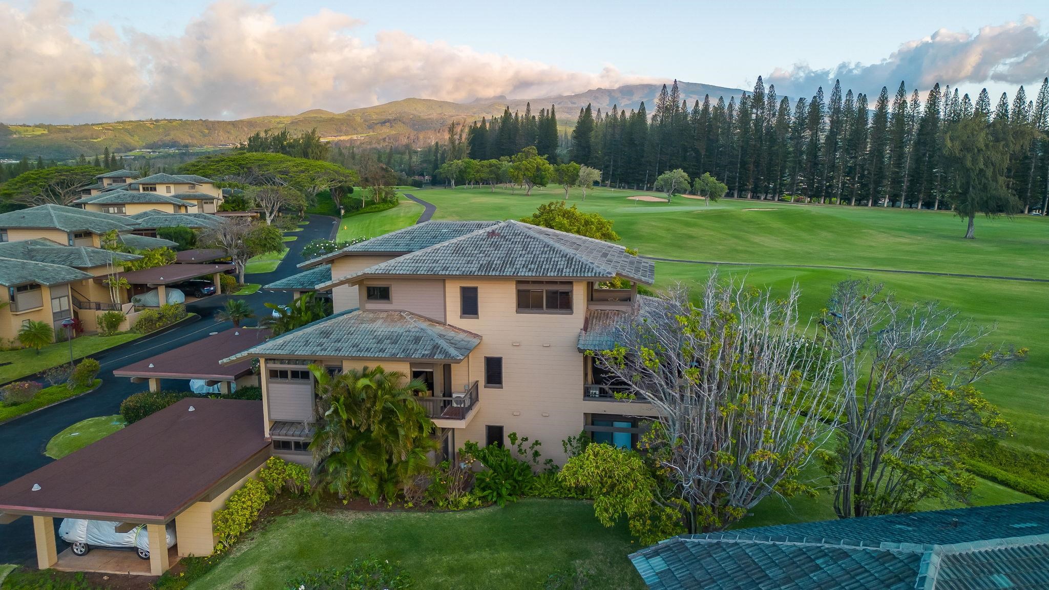 Kapalua Ridge condo # 1223,24, Lahaina, Hawaii - photo 48 of 49