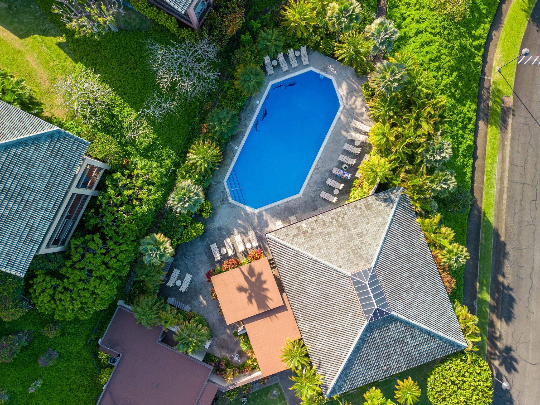 Kapalua Ridge condo # 1223,24, Lahaina, Hawaii - photo 49 of 49