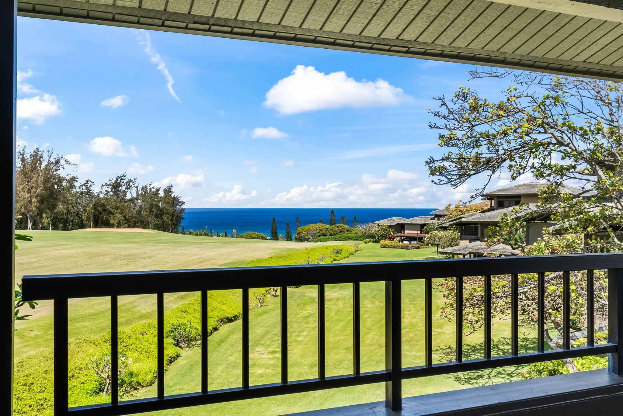Kapalua Ridge condo # 1223,24, Lahaina, Hawaii - photo 6 of 49