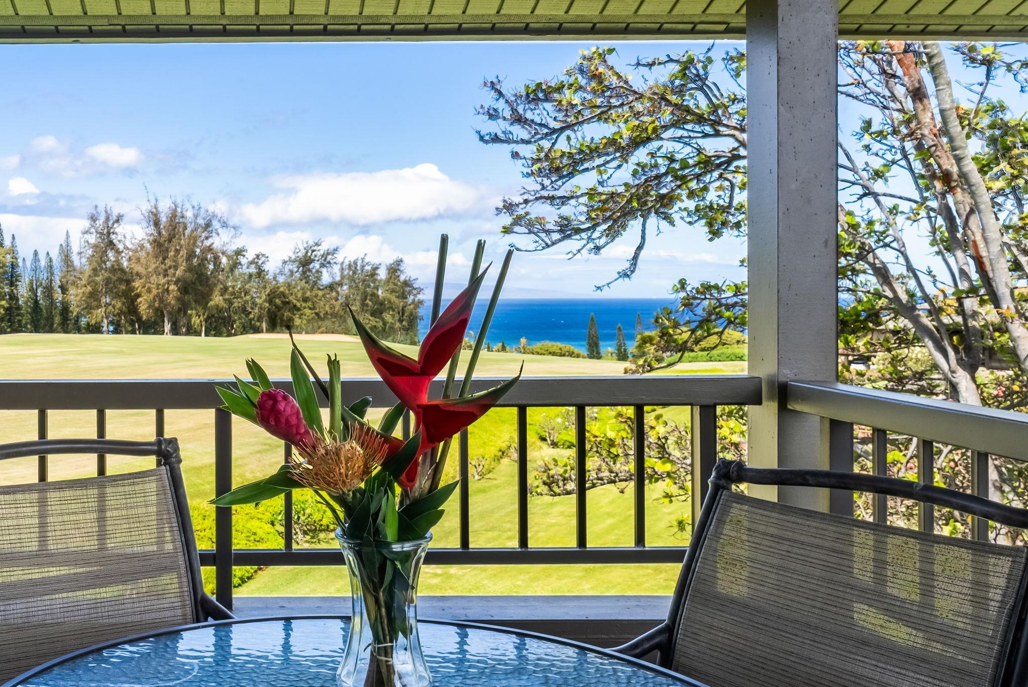 Kapalua Ridge condo # 1223,24, Lahaina, Hawaii - photo 7 of 49