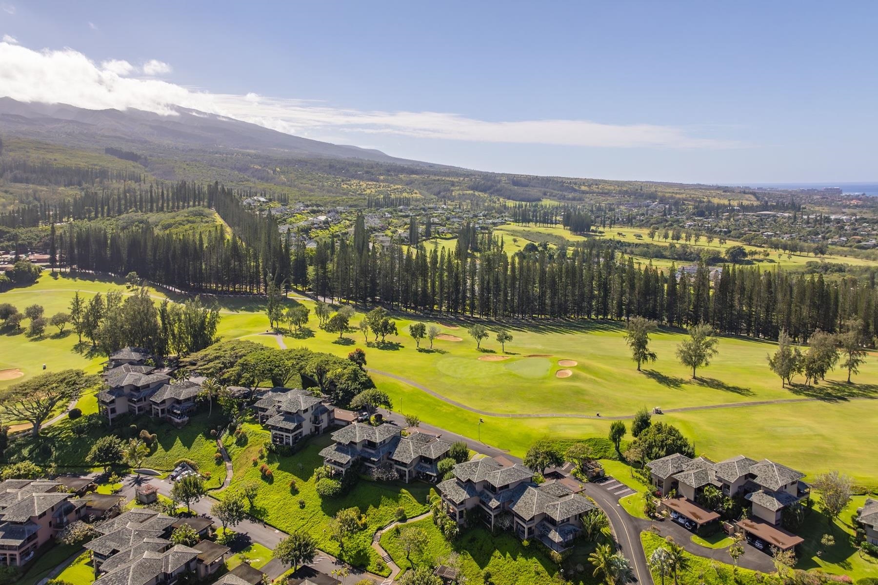 Kapalua Ridge condo # 1523-24, Lahaina, Hawaii - photo 43 of 45