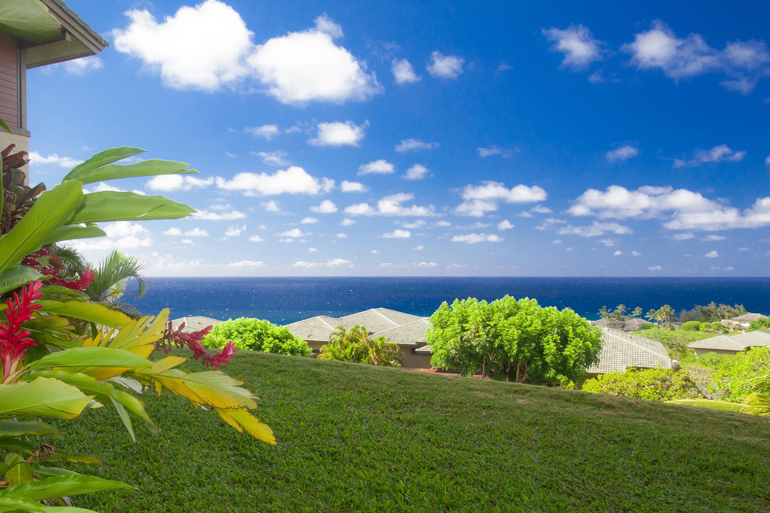 Kapalua Ridge condo # 1614, Lahaina, Hawaii - photo 3 of 50