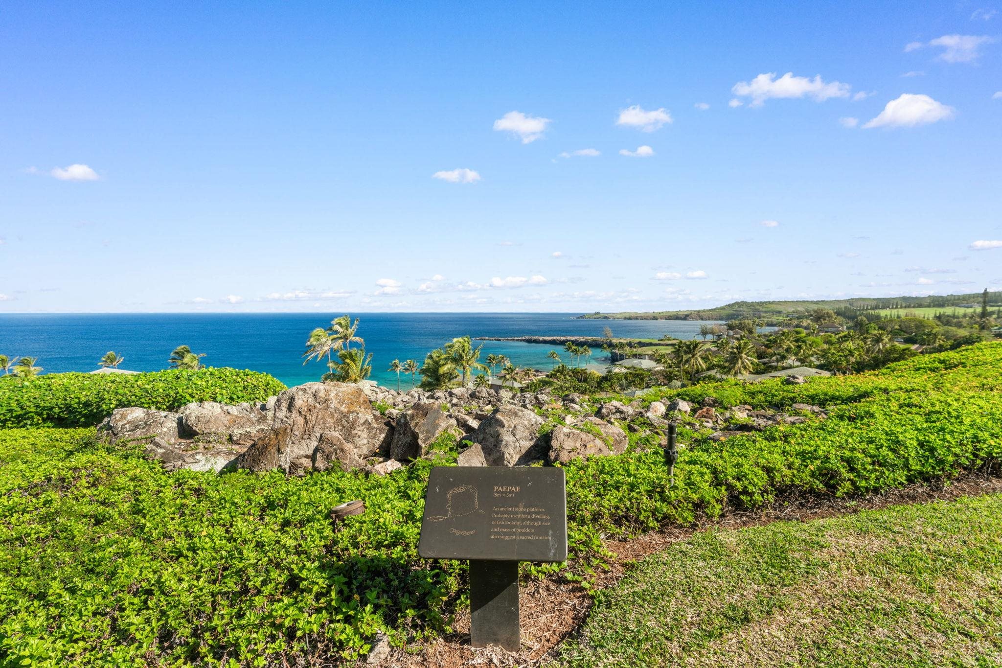 Kapalua Ridge condo # 1614, Lahaina, Hawaii - photo 28 of 50
