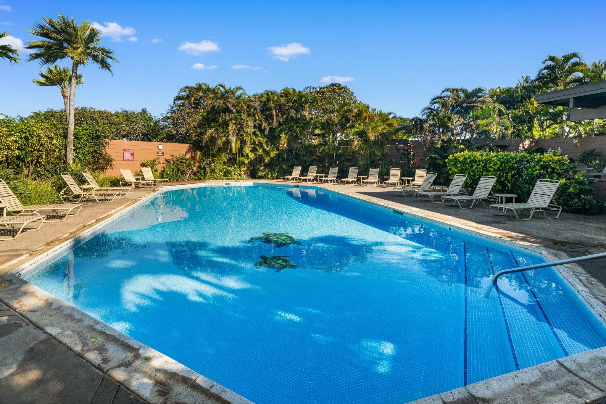 Kapalua Ridge condo # 1614, Lahaina, Hawaii - photo 32 of 50