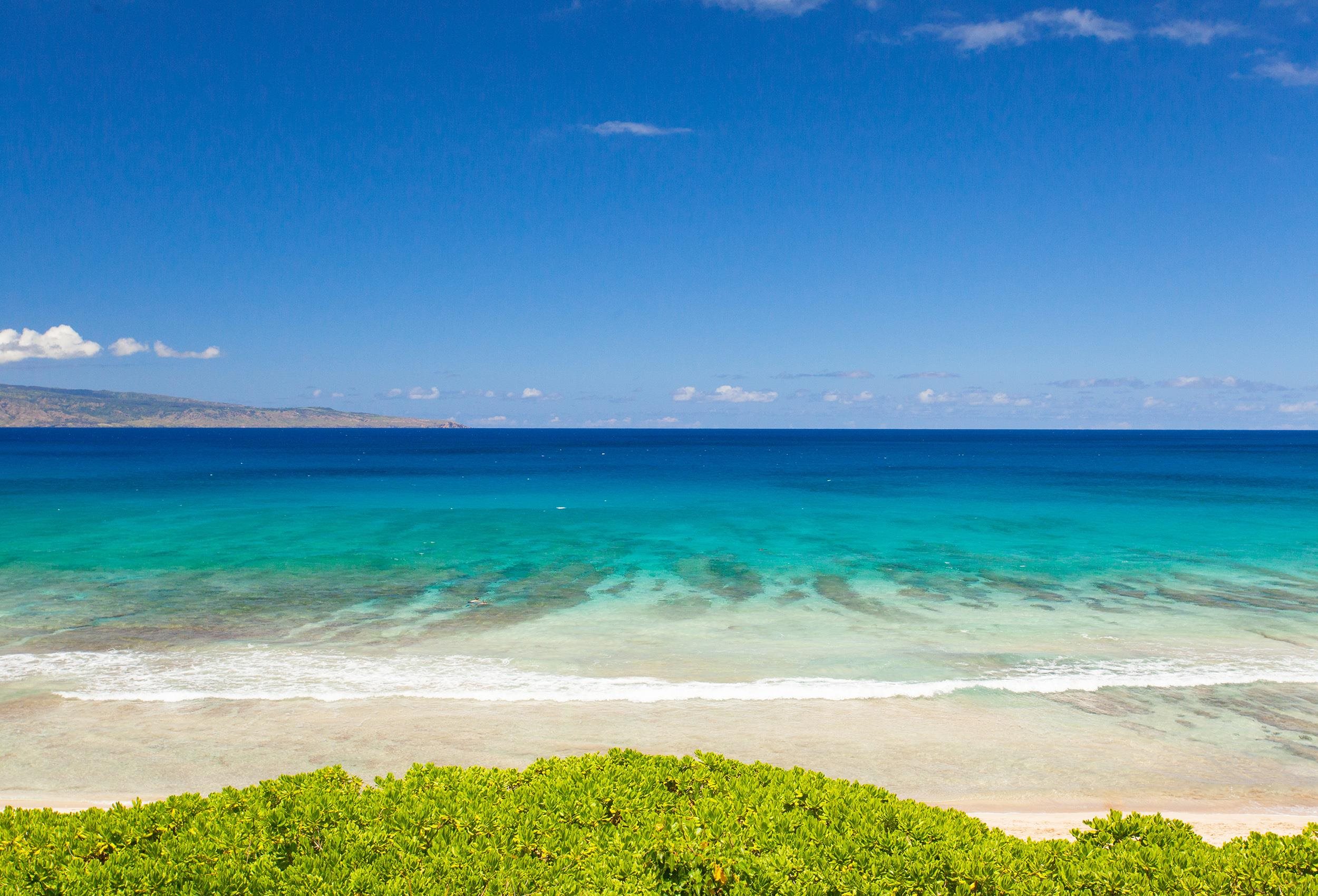 Kapalua Ridge condo # 1614, Lahaina, Hawaii - photo 42 of 50