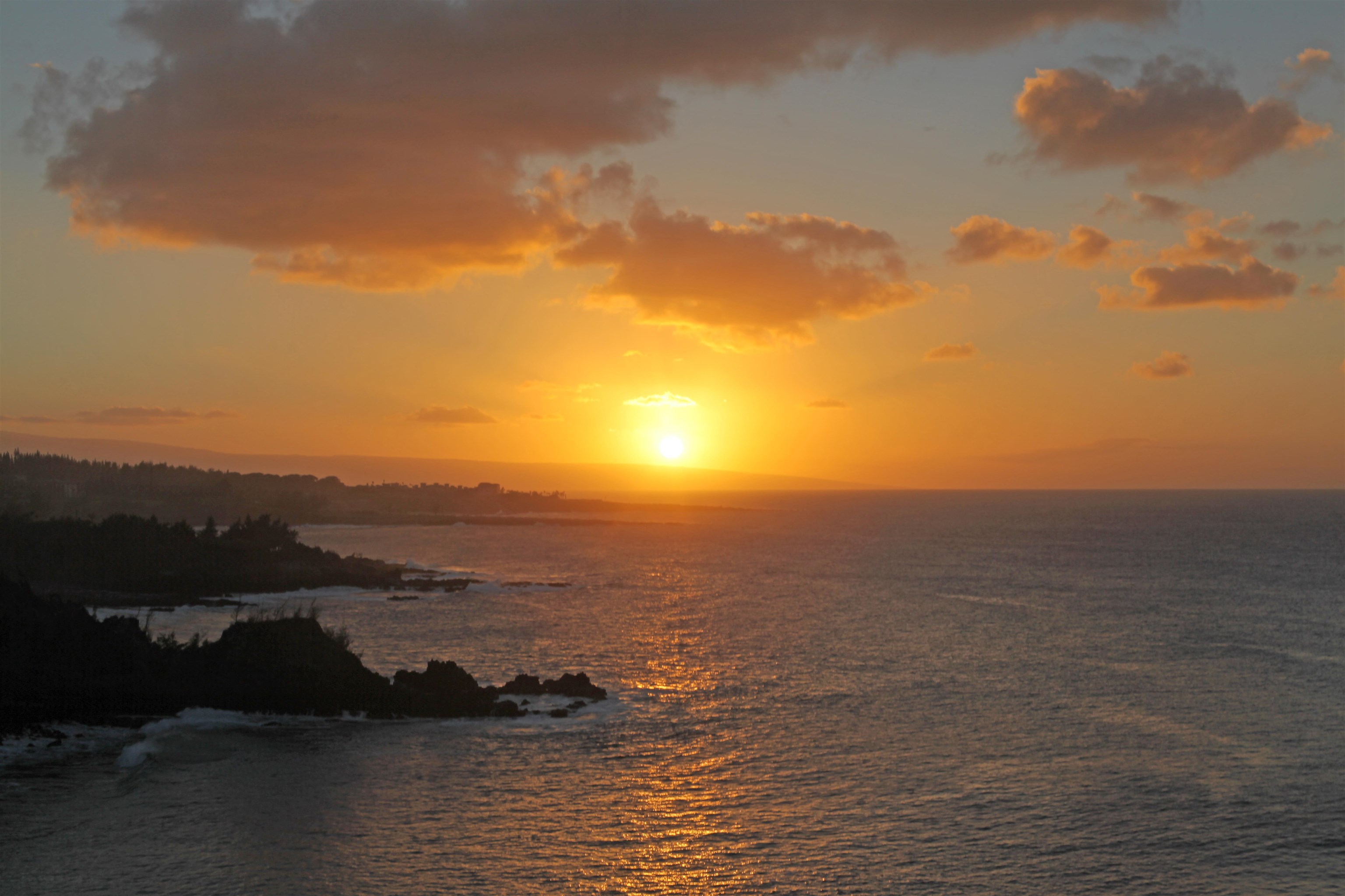 Kapalua Ridge condo # 1614, Lahaina, Hawaii - photo 48 of 50