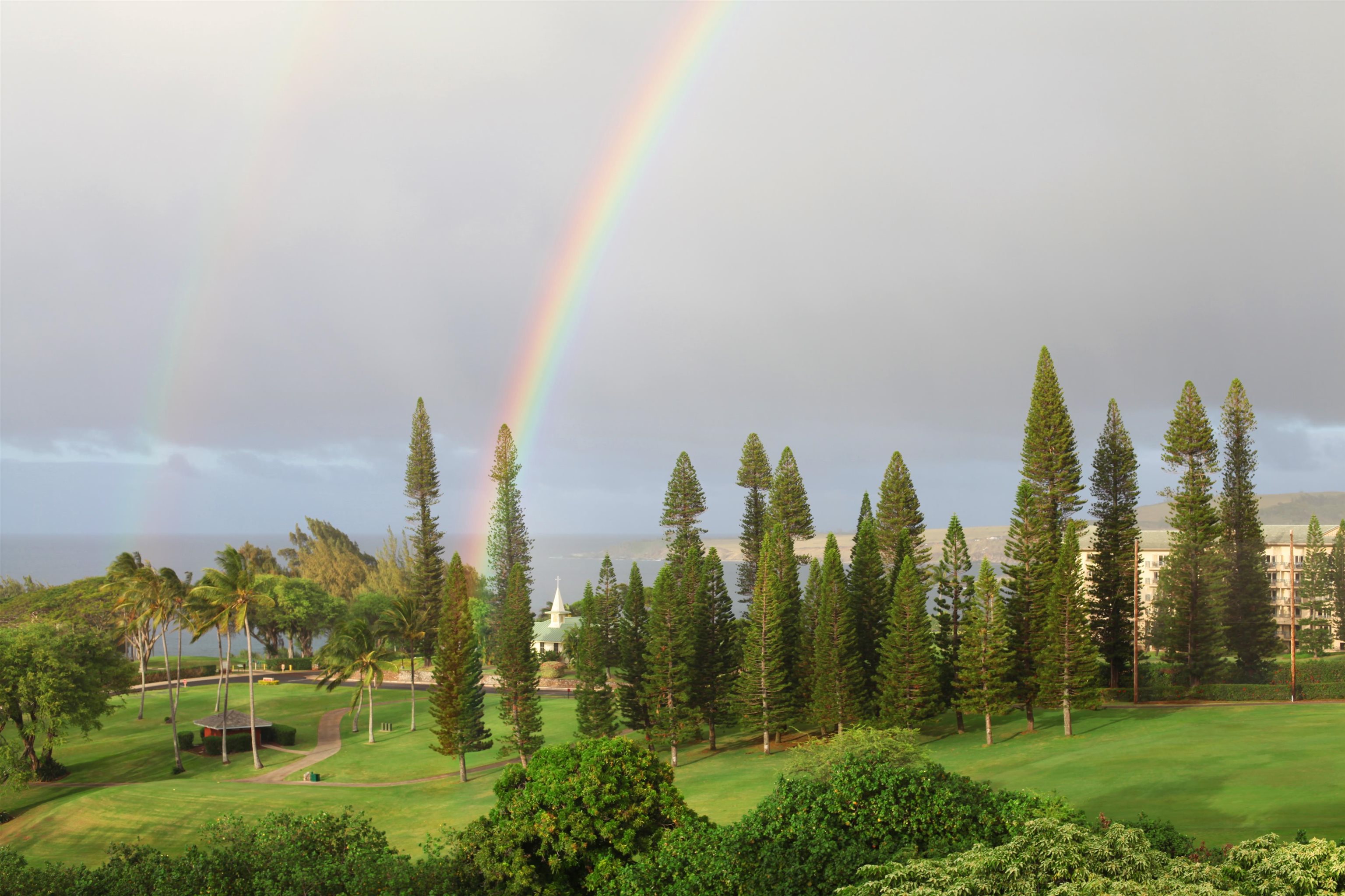 Kapalua Ridge condo # 1614, Lahaina, Hawaii - photo 49 of 50