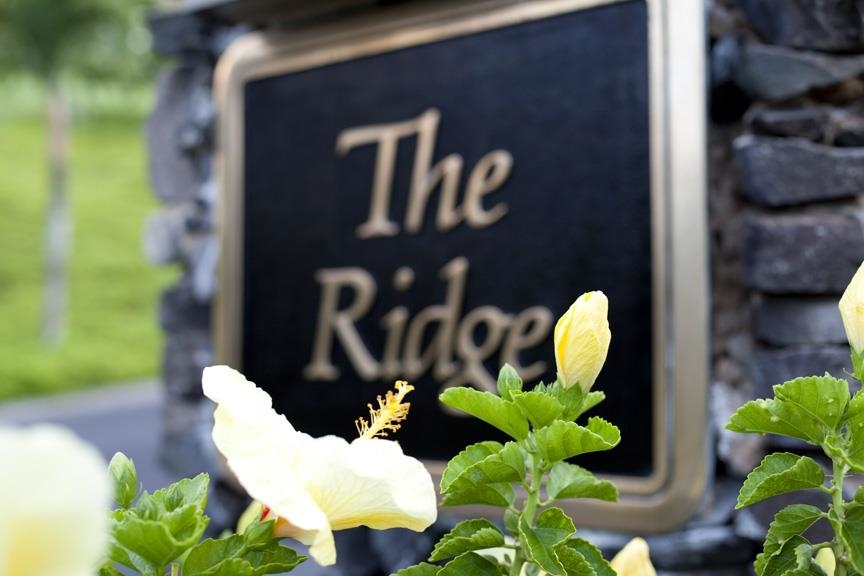 Kapalua Ridge condo # 1614, Lahaina, Hawaii - photo 50 of 50