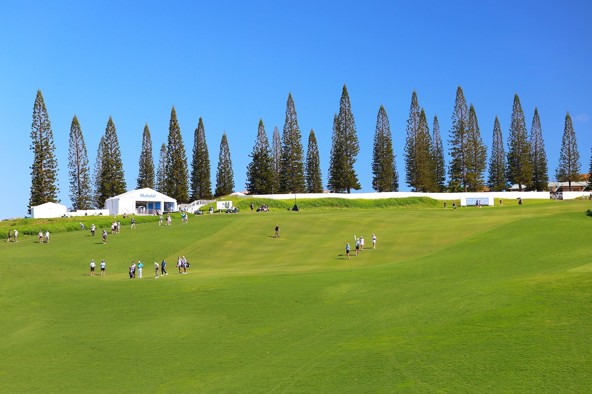 Kapalua Ridge condo # 1722, Lahaina, Hawaii - photo 44 of 50