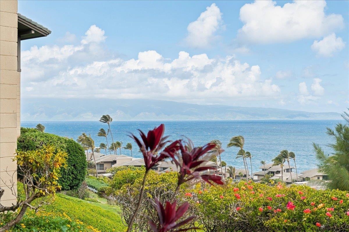 Kapalua Ridge condo # 2215, Lahaina, Hawaii - photo 3 of 47