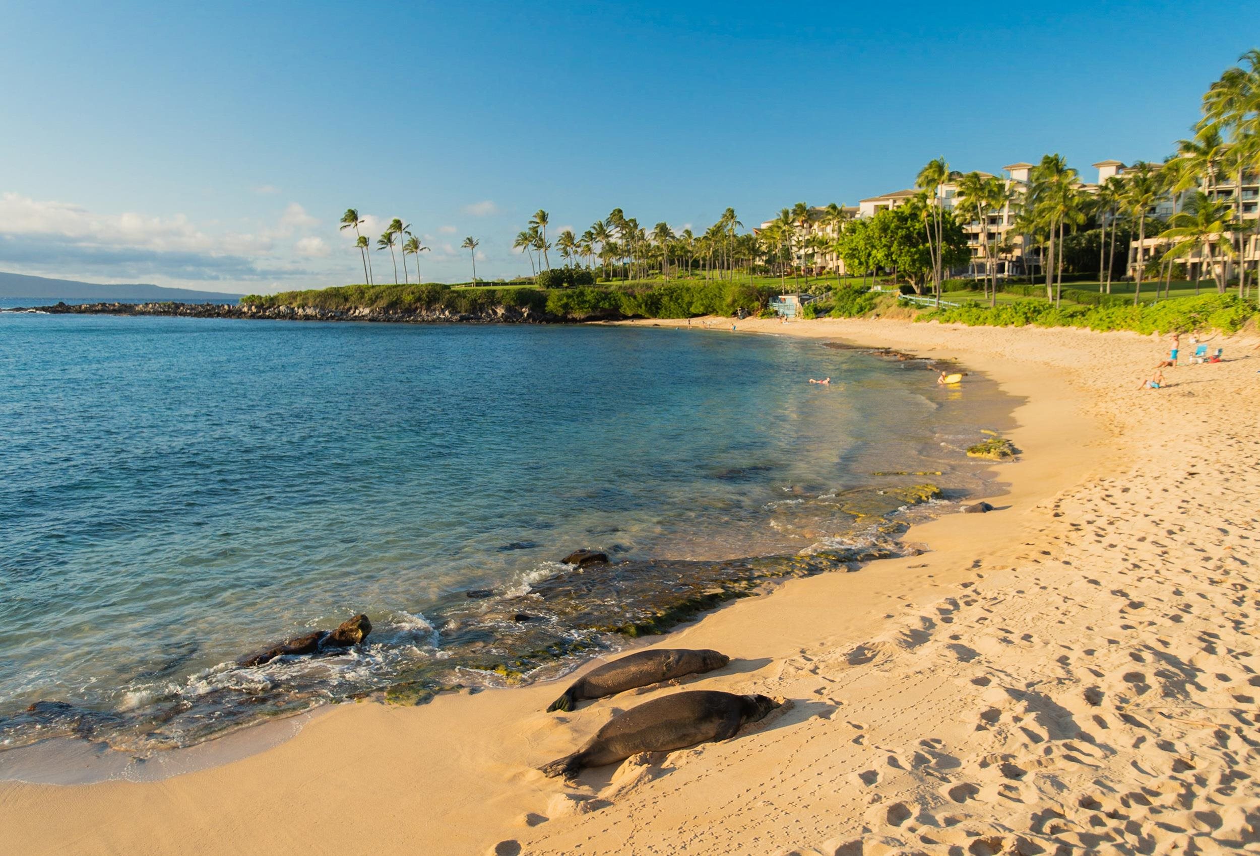 Kapalua Ridge condo # 2311, Lahaina, Hawaii - photo 17 of 24