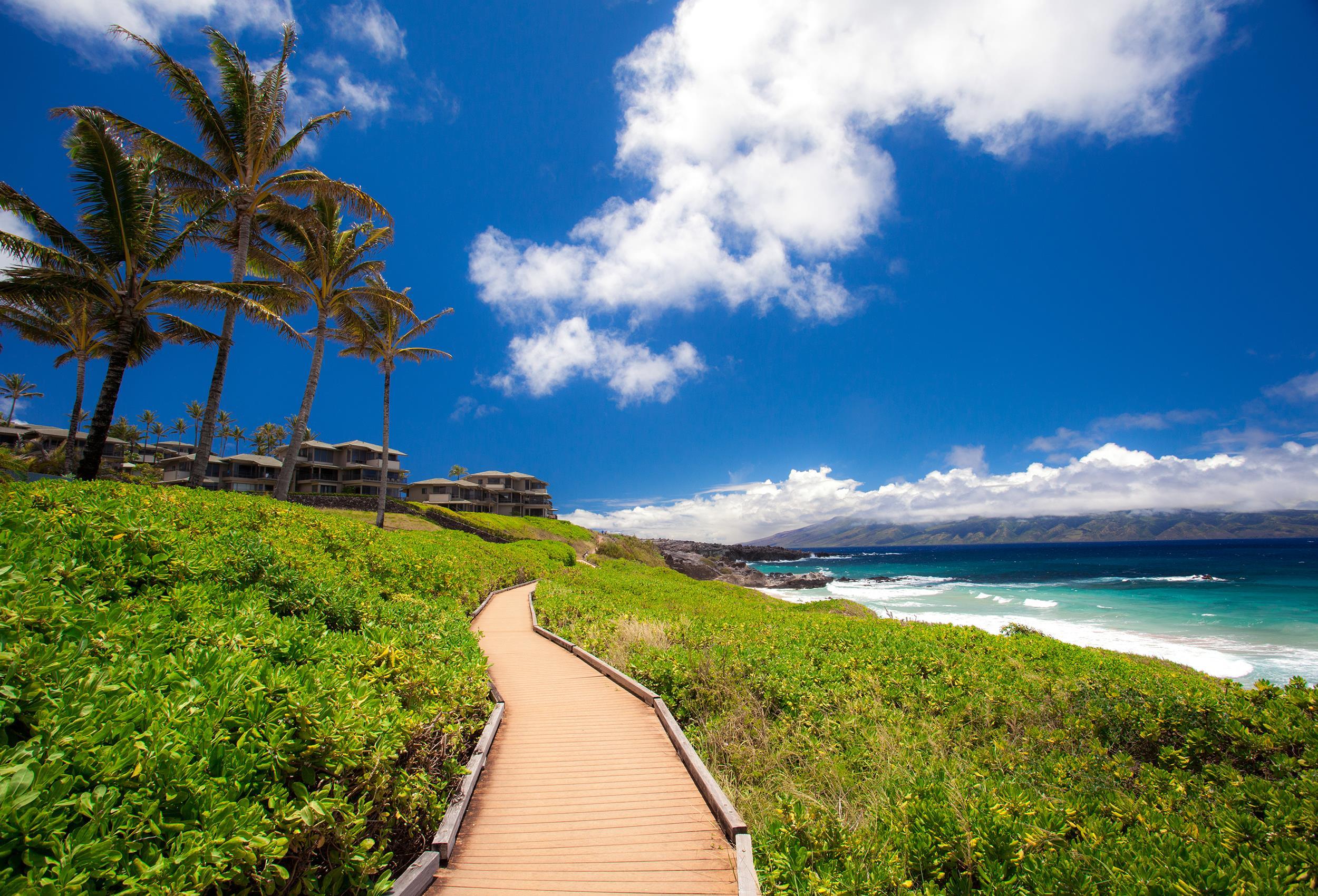 Kapalua Ridge condo # 2311, Lahaina, Hawaii - photo 19 of 24