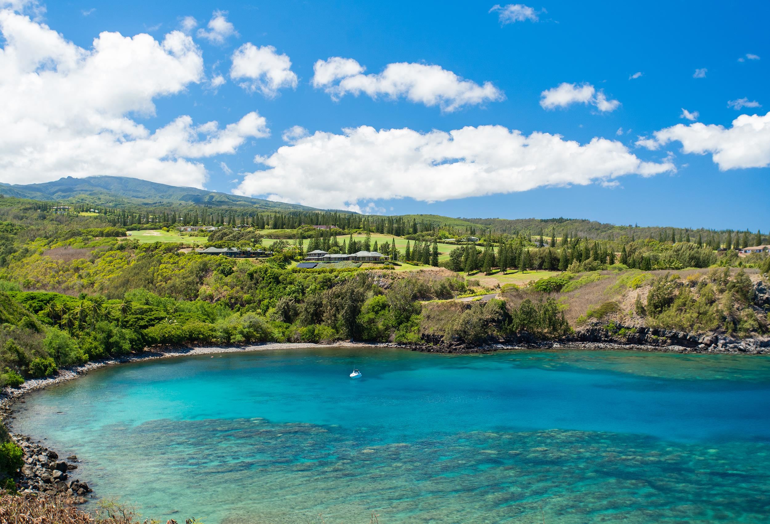 Kapalua Ridge condo # 2311, Lahaina, Hawaii - photo 33 of 36