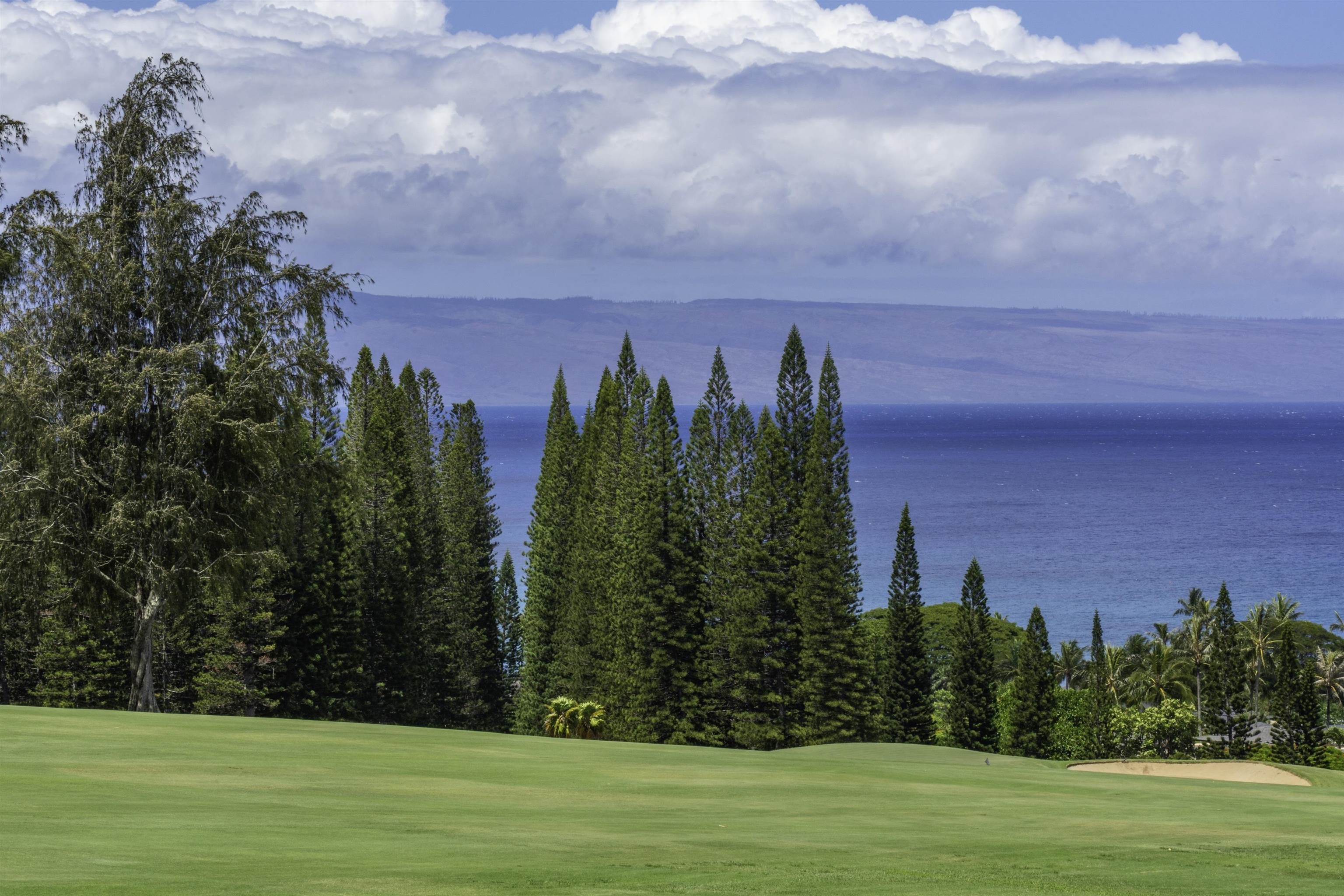 Kapalua Ridge condo # 2323-24, Lahaina, Hawaii - photo 41 of 50