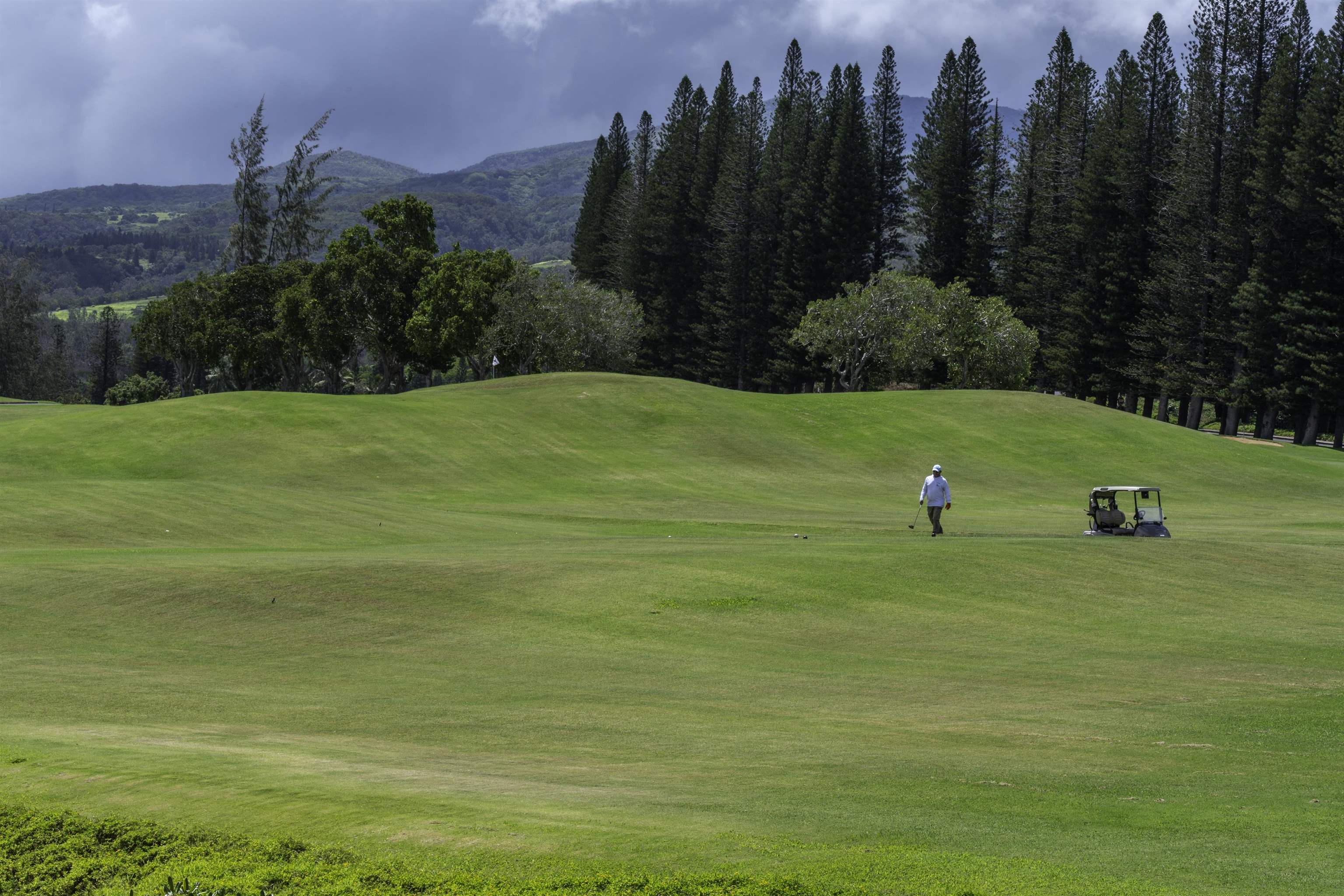 Kapalua Ridge condo # 2323-24, Lahaina, Hawaii - photo 42 of 50