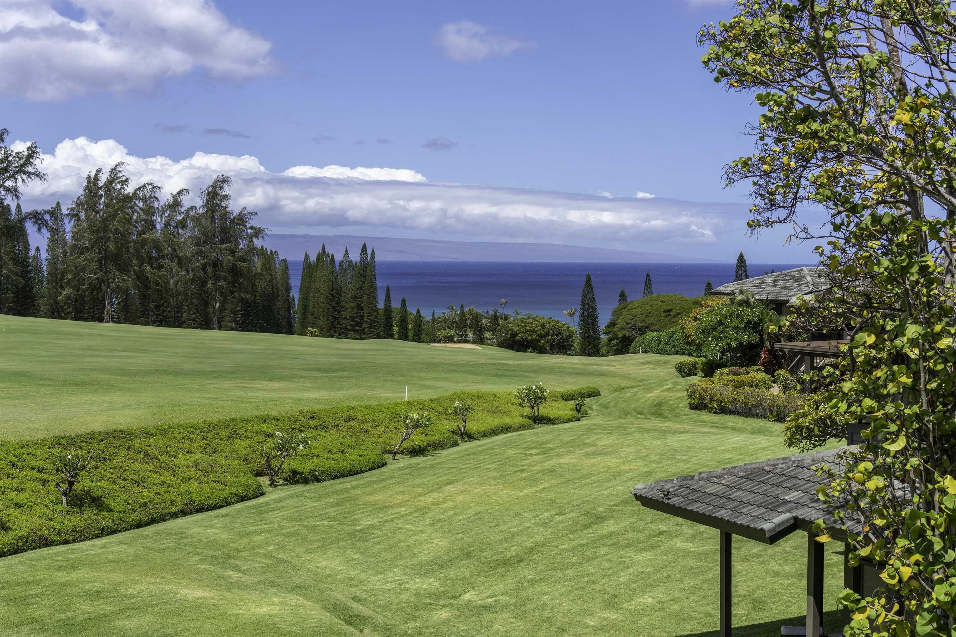 Kapalua Ridge condo # 2323-24, Lahaina, Hawaii - photo 43 of 50