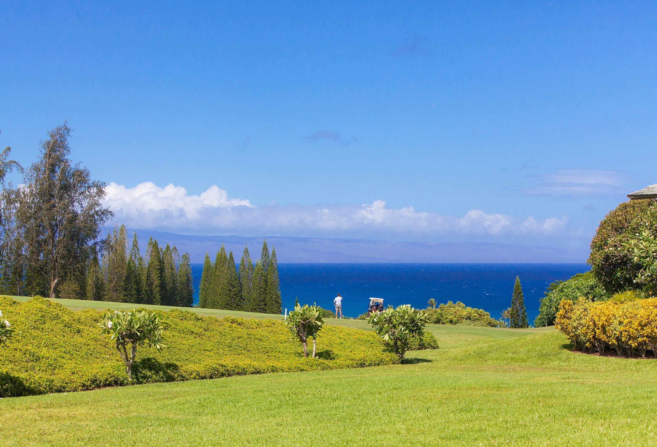 Kapalua Ridge condo # 2511, Lahaina, Hawaii - photo 24 of 48