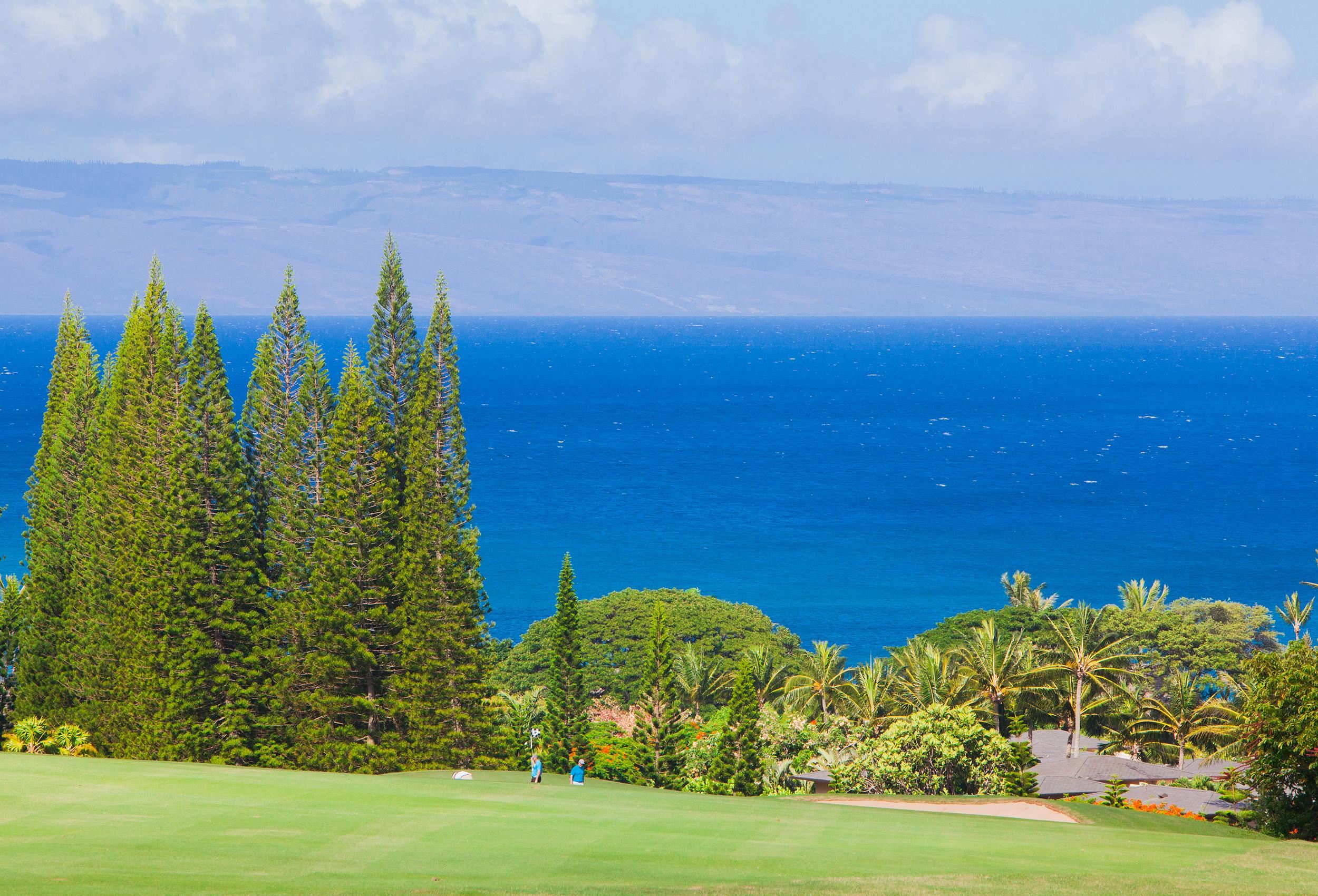 Kapalua Ridge condo # 2511, Lahaina, Hawaii - photo 43 of 48