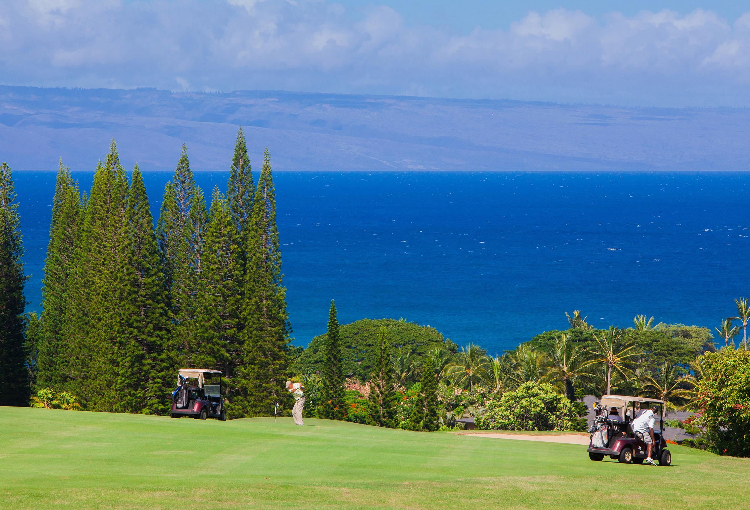 Kapalua Ridge condo # 2511, Lahaina, Hawaii - photo 44 of 48