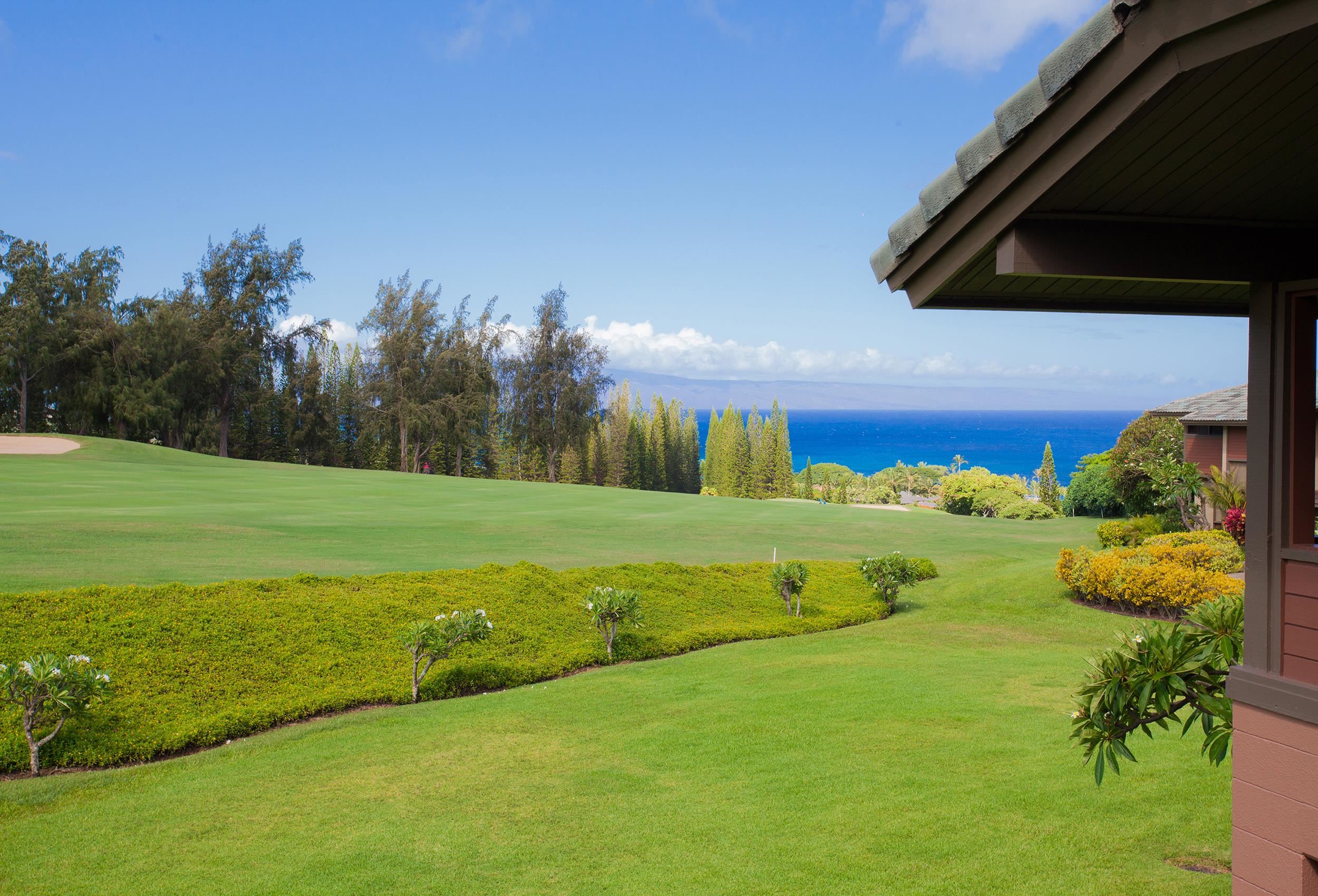 Kapalua Ridge condo # 2511, Lahaina, Hawaii - photo 41 of 50