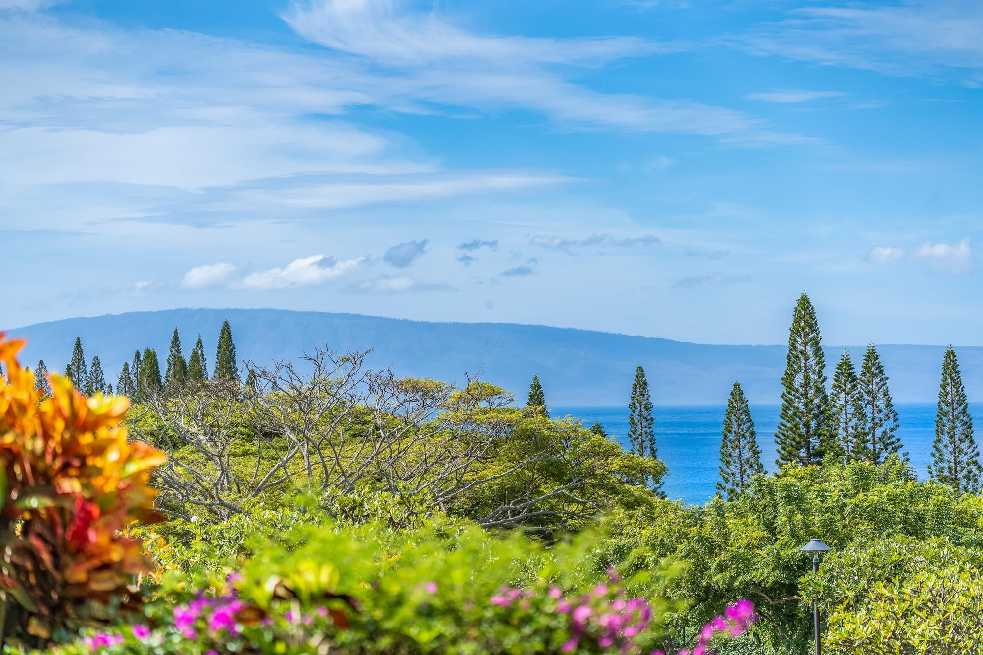 Kapalua Ridge condo # 2612, Lahaina, Hawaii - photo 45 of 50
