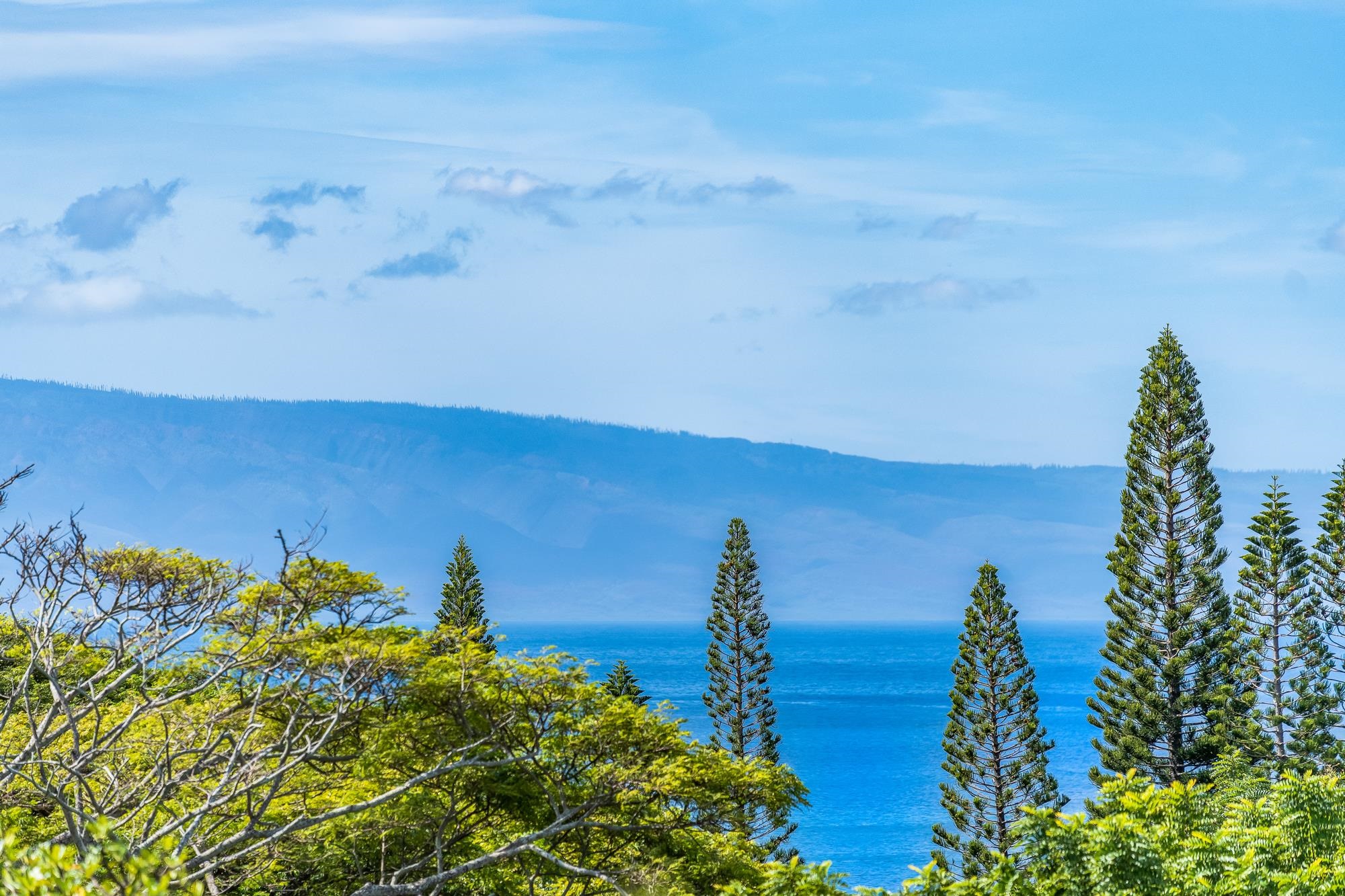 Kapalua Ridge condo # 2612, Lahaina, Hawaii - photo 46 of 50