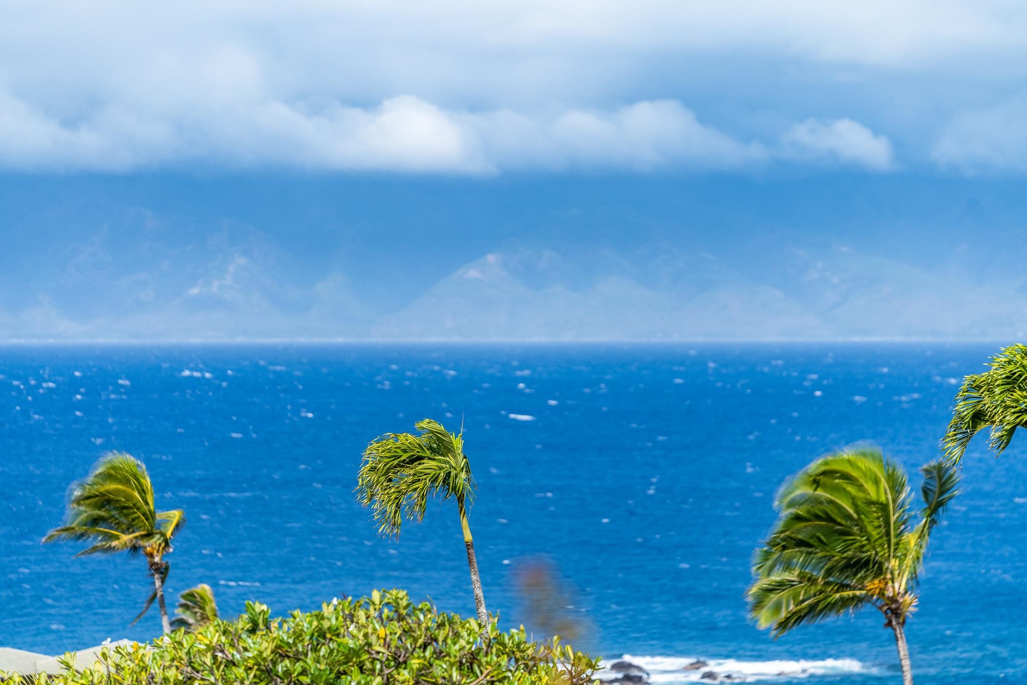 Kapalua Ridge condo # 2612, Lahaina, Hawaii - photo 48 of 50