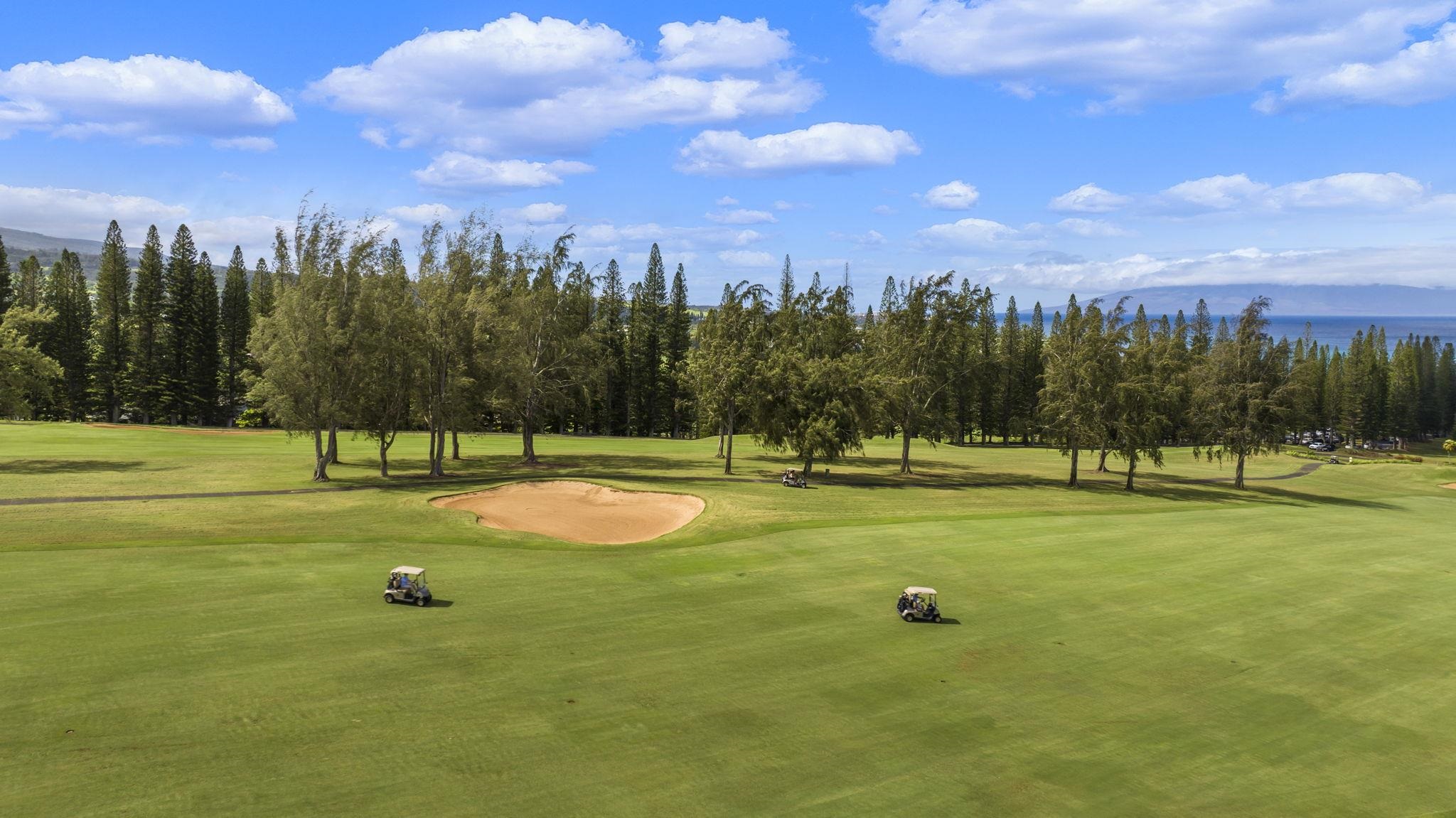 Kapalua Ridge condo # 2621, Lahaina, Hawaii - photo 41 of 45