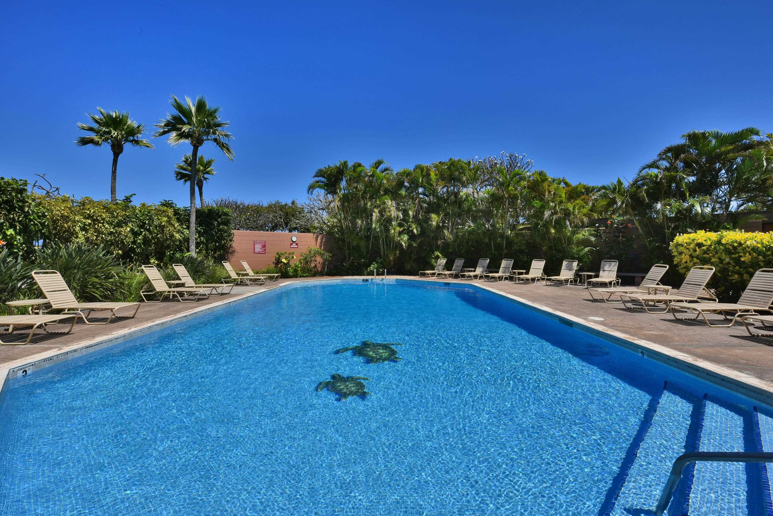 Kapalua Ridge condo # 2911-13, Lahaina, Hawaii - photo 45 of 47