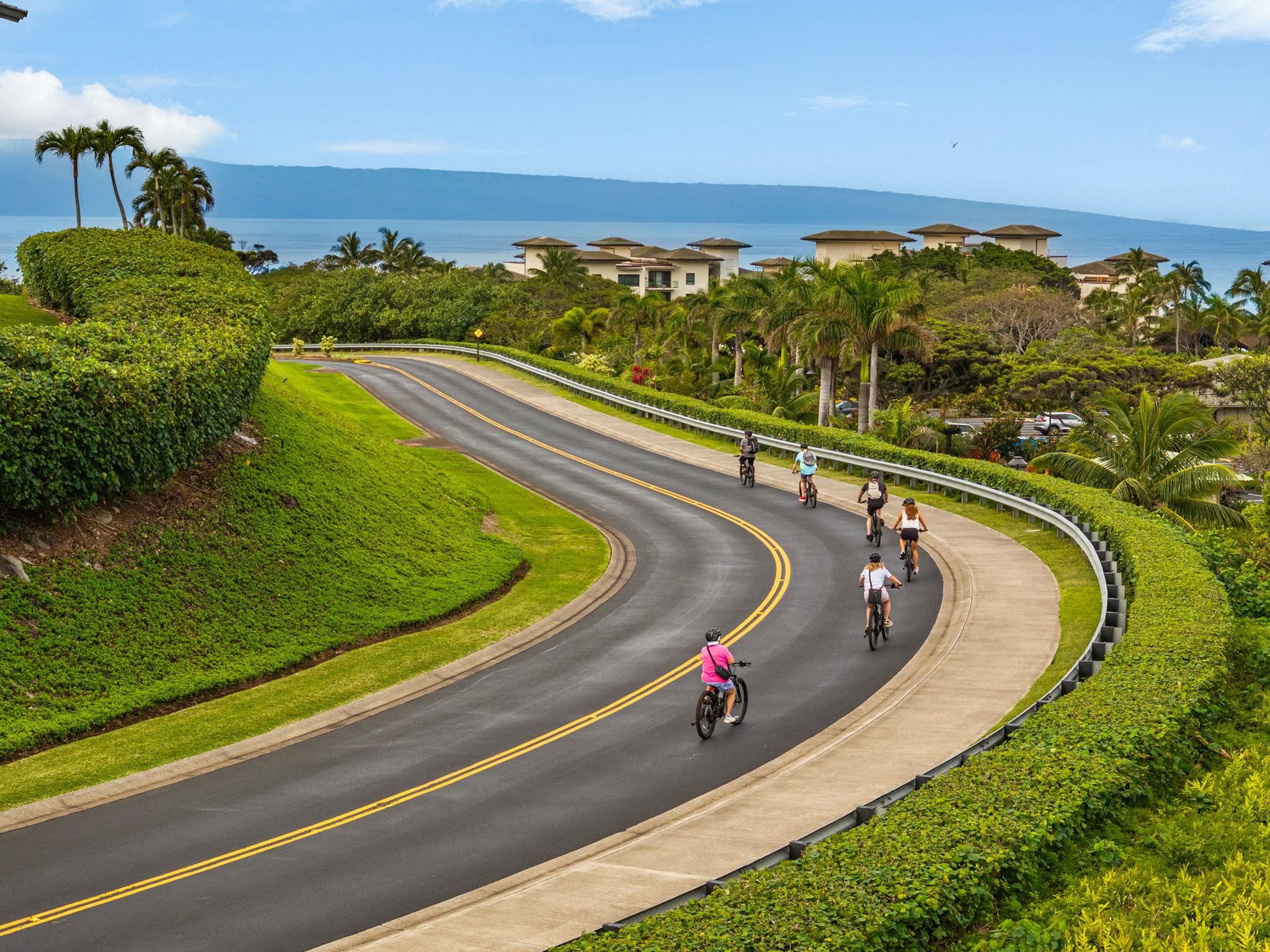 Kapalua Ridge condo # 2914, Lahaina, Hawaii - photo 47 of 50