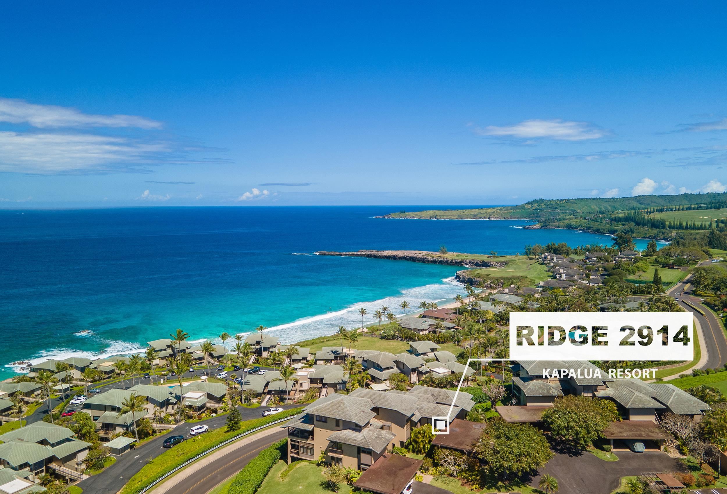 Kapalua Ridge condo # 2914, Lahaina, Hawaii - photo 48 of 50