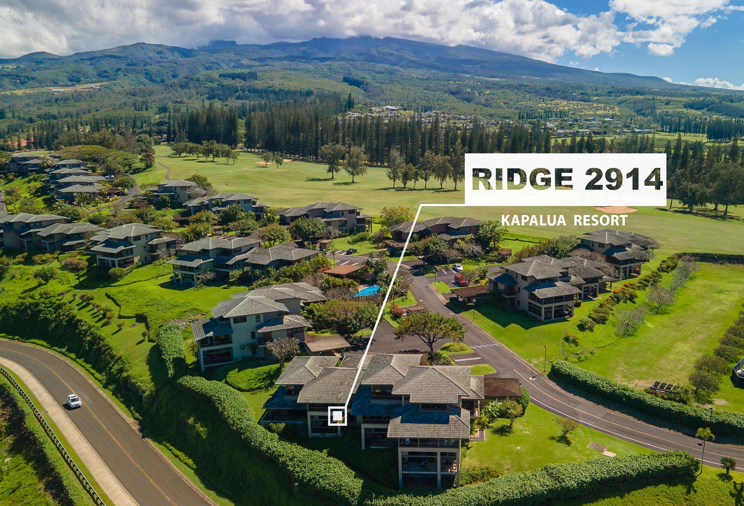Kapalua Ridge condo # 2914, Lahaina, Hawaii - photo 7 of 50