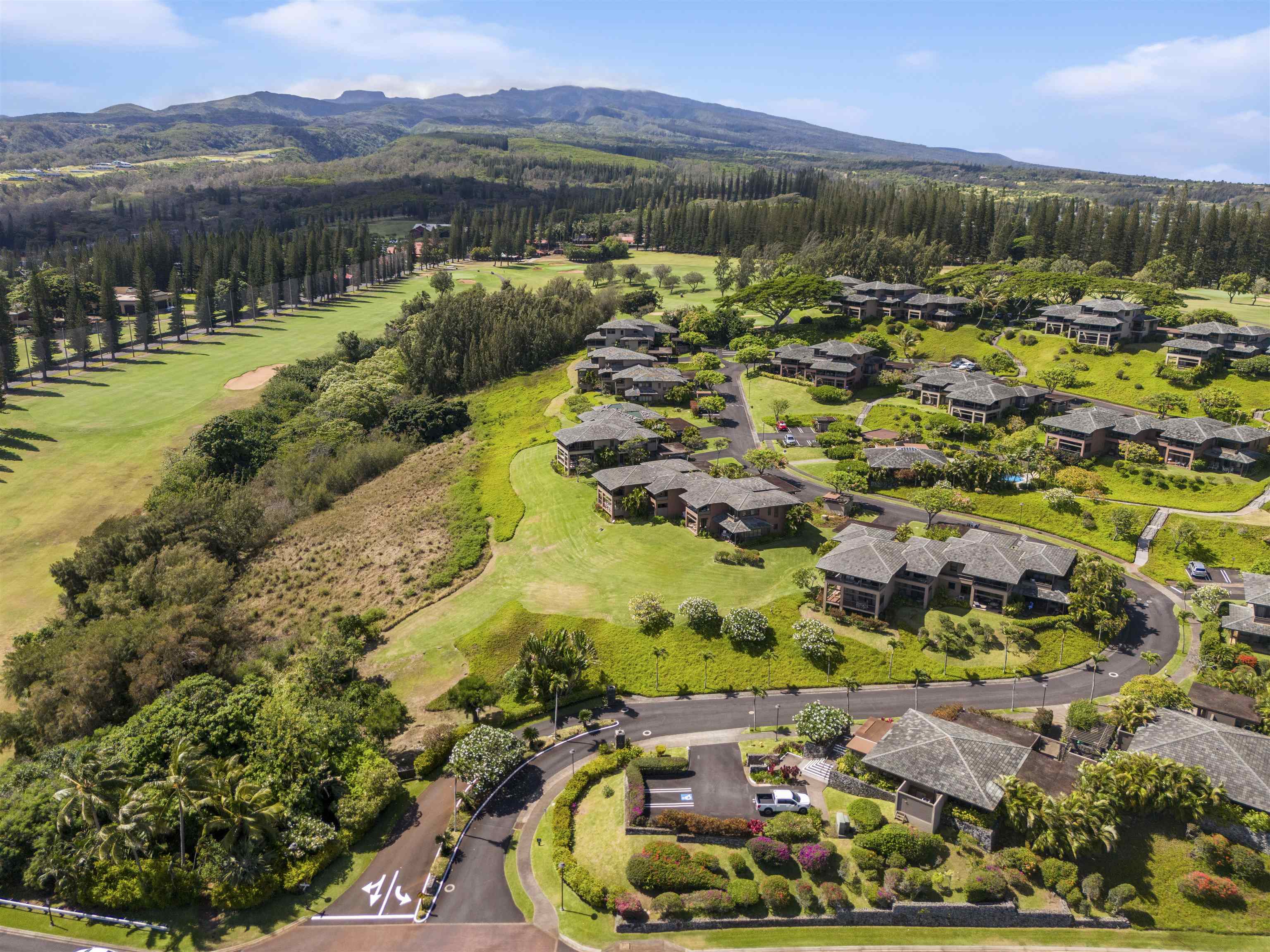 Kapalua Ridge condo # 413-15, Lahaina, Hawaii - photo 48 of 48