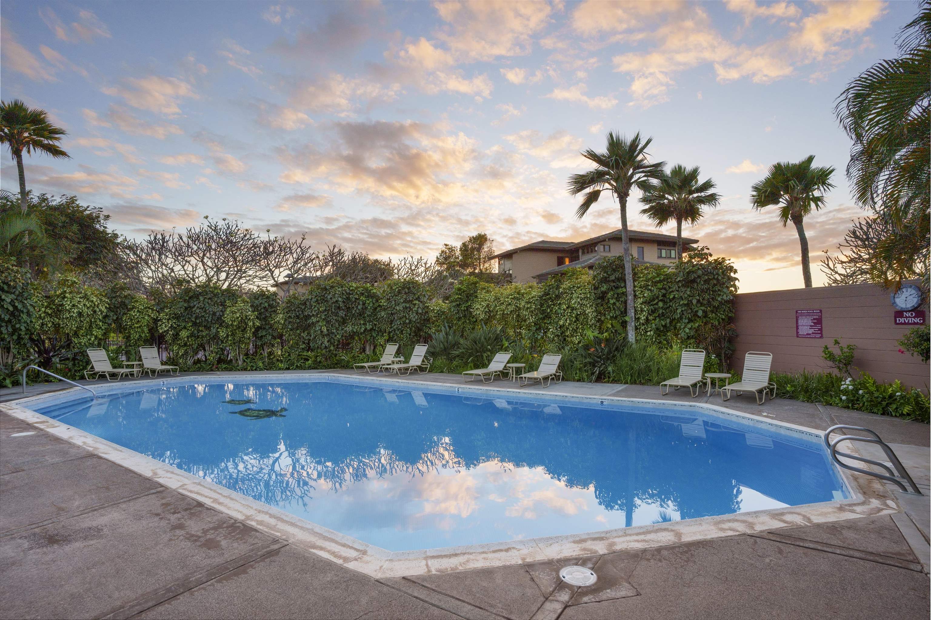 Kapalua Ridge condo # 514, Lahaina, Hawaii - photo 27 of 31