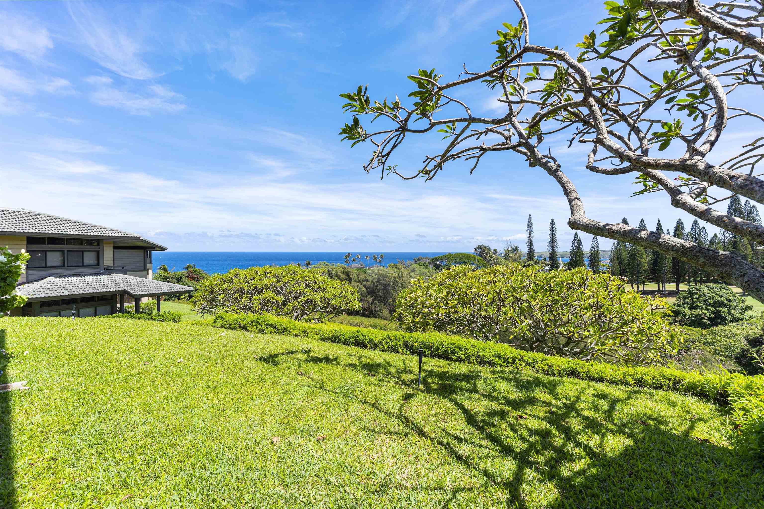 Kapalua Ridge condo # 612, Lahaina, Hawaii - photo 28 of 33