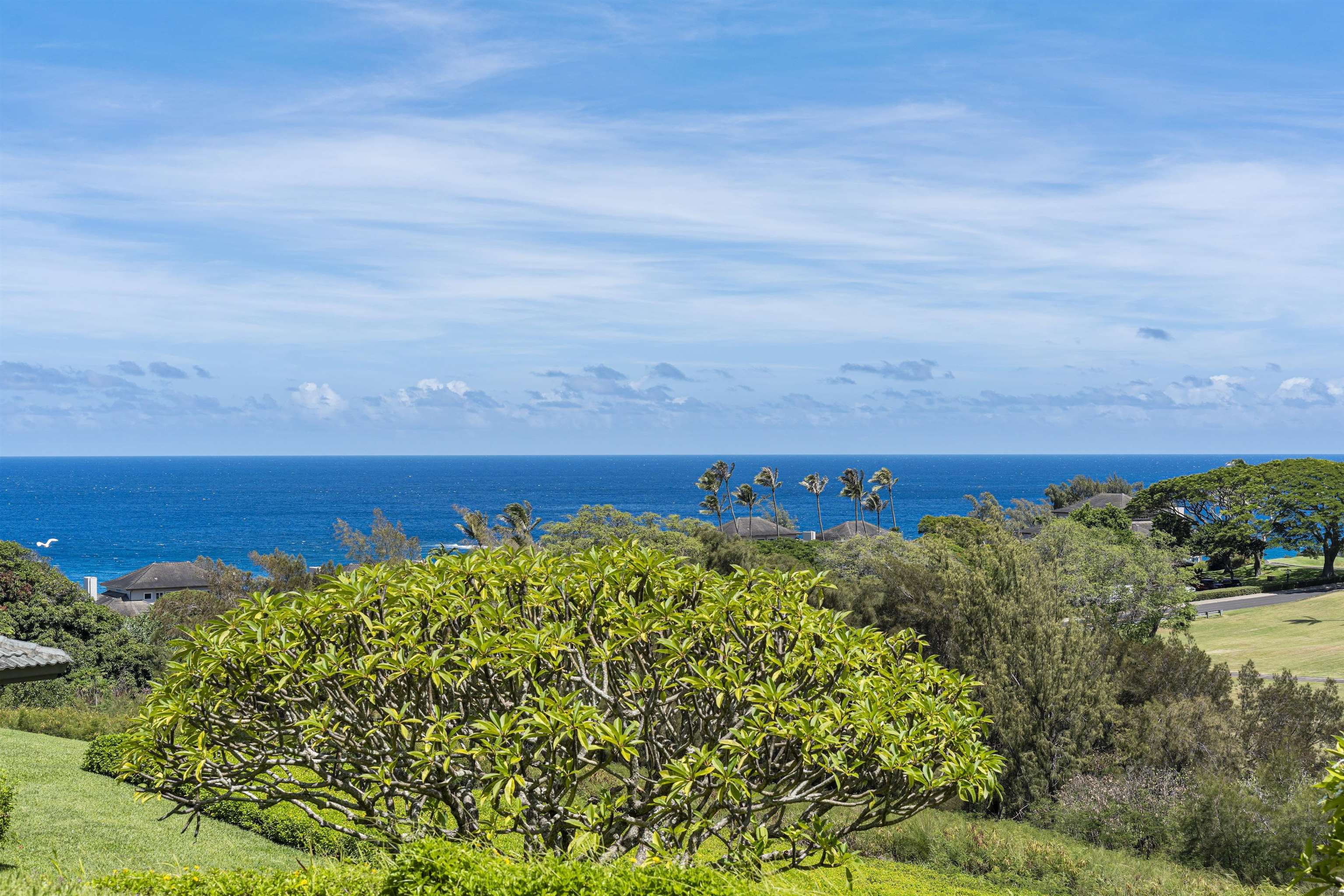 Kapalua Ridge condo # 612, Lahaina, Hawaii - photo 26 of 26